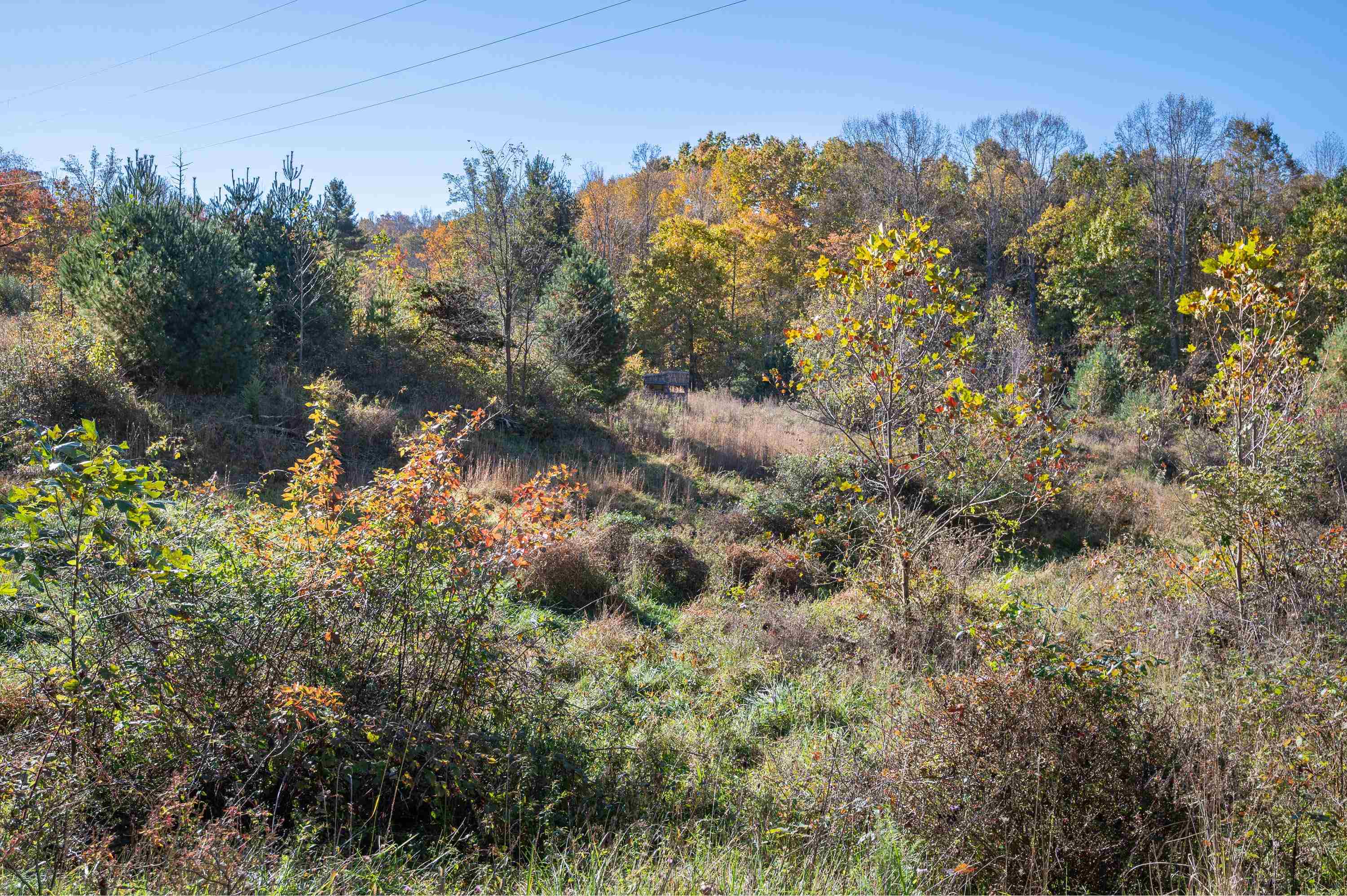 0 Barberry Road SE Floyd VA 24091