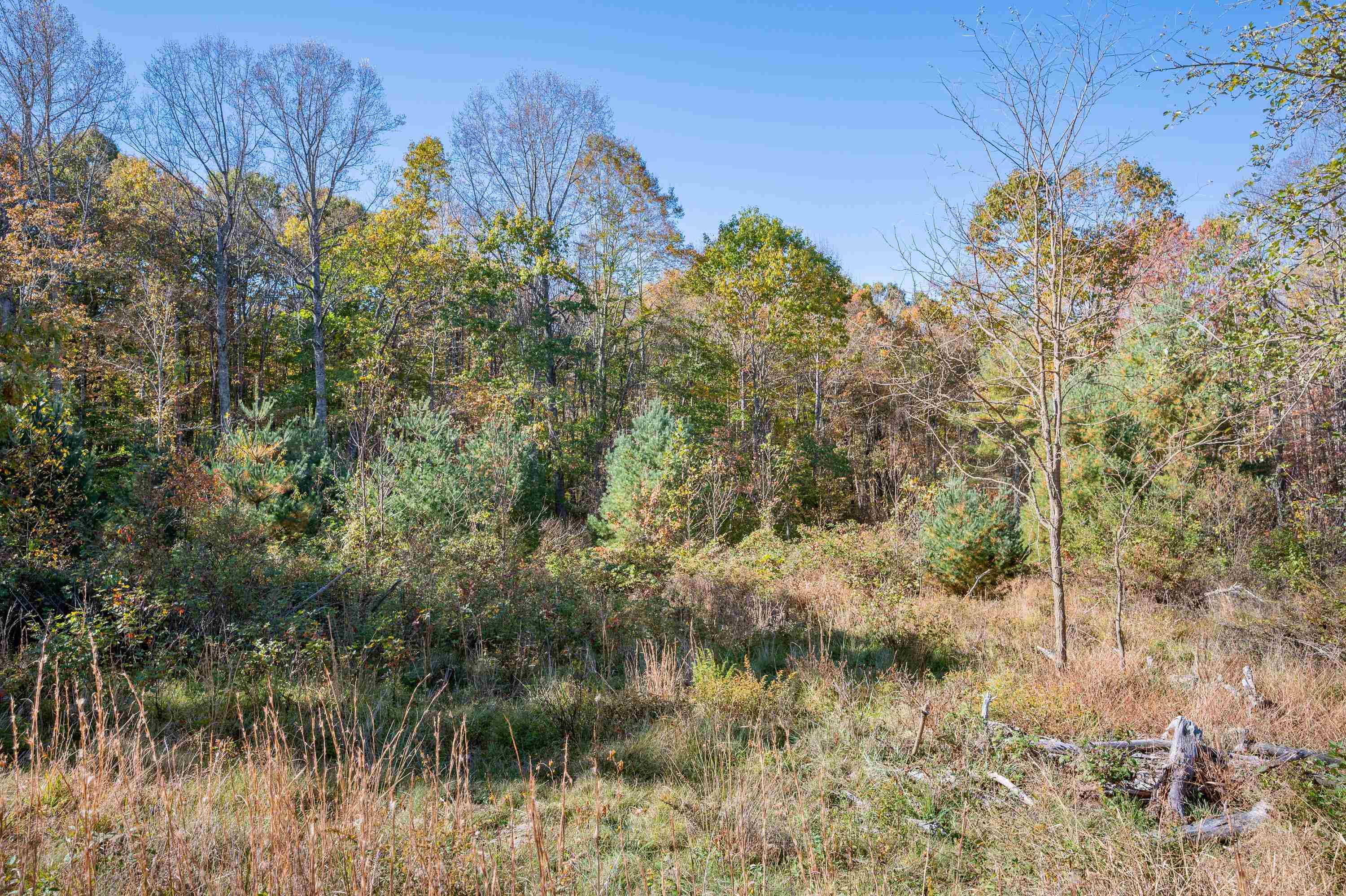 0 Barberry Road SE Floyd VA 24091