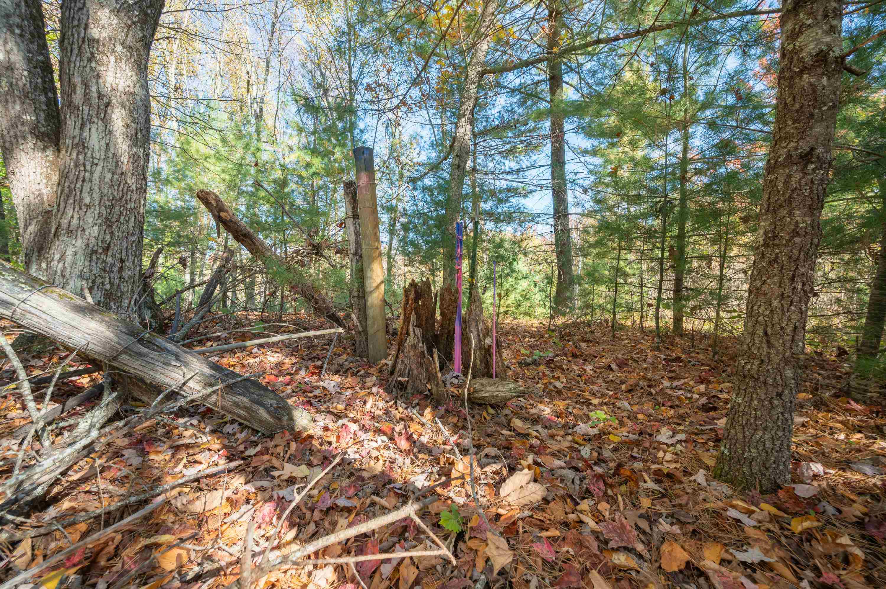 0 Barberry Road SE Floyd VA 24091
