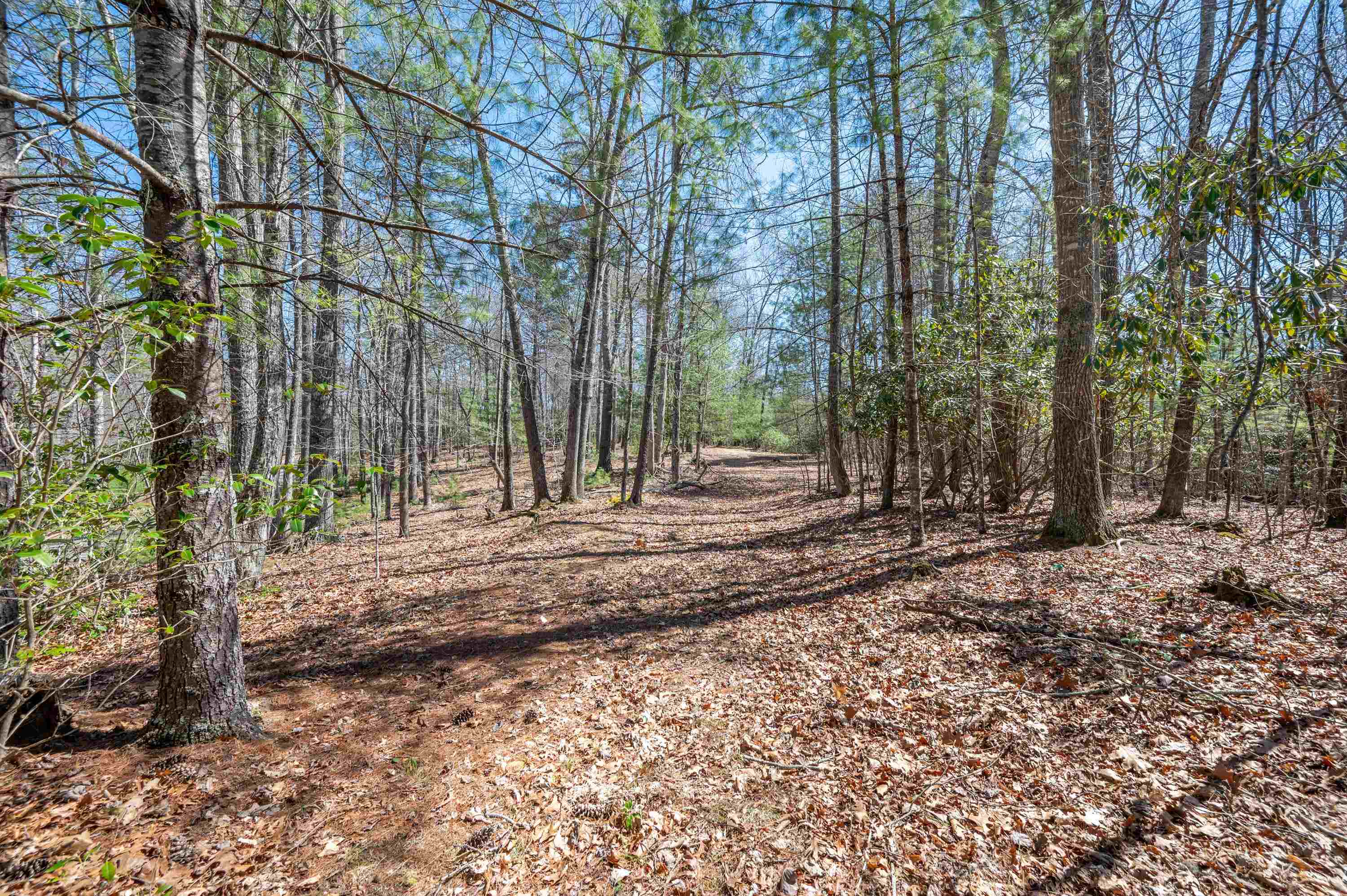 Lot 12 Ridgeline Trail Independence VA 24348