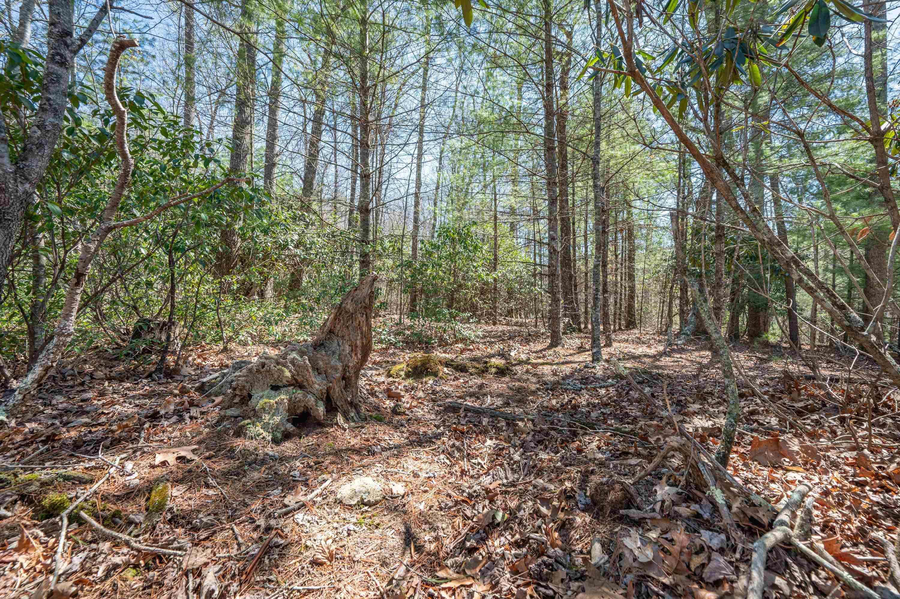 Lot 12 Ridgeline Trail Independence VA 24348