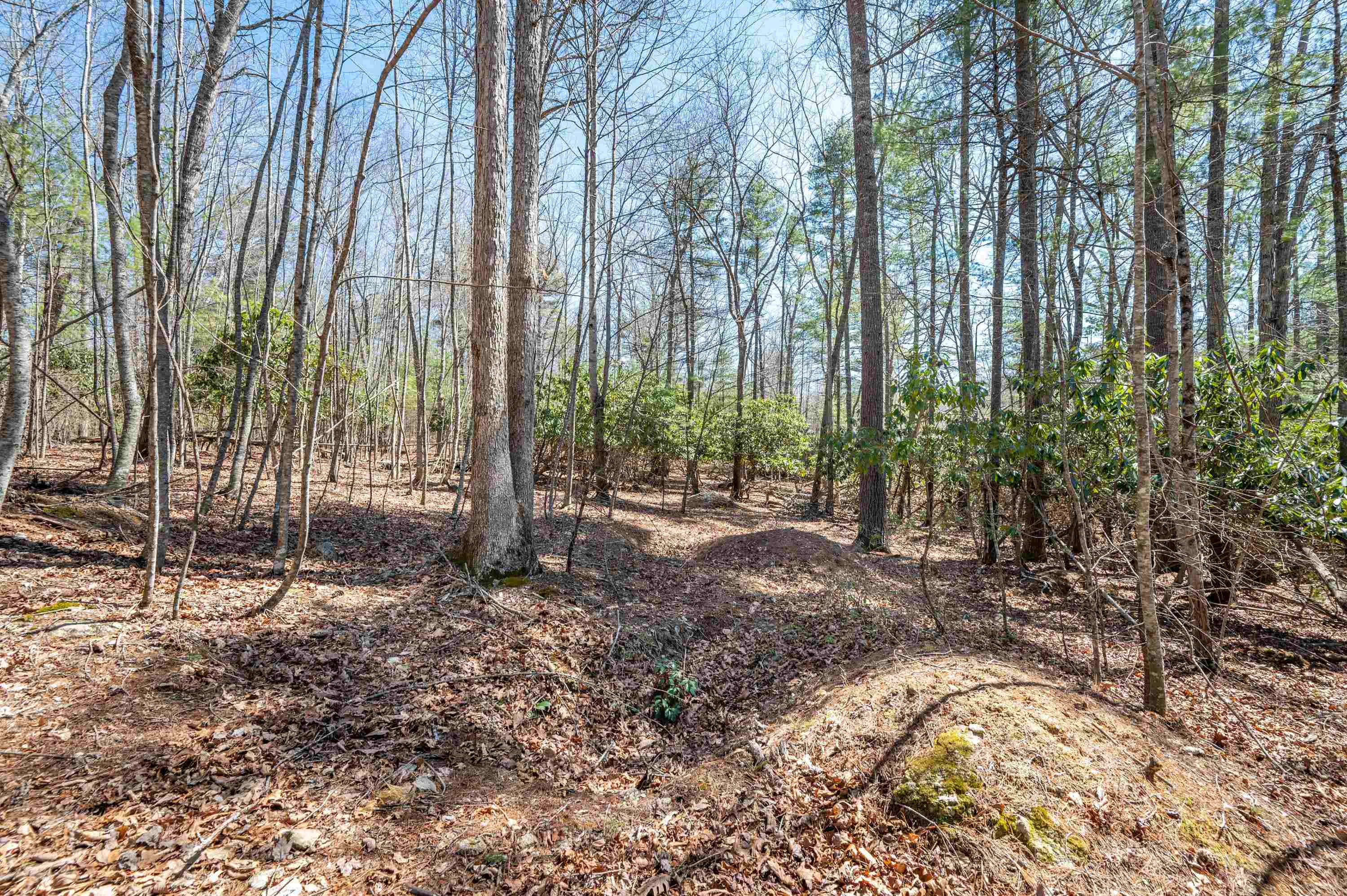 Lot 12 Ridgeline Trail Independence VA 24348