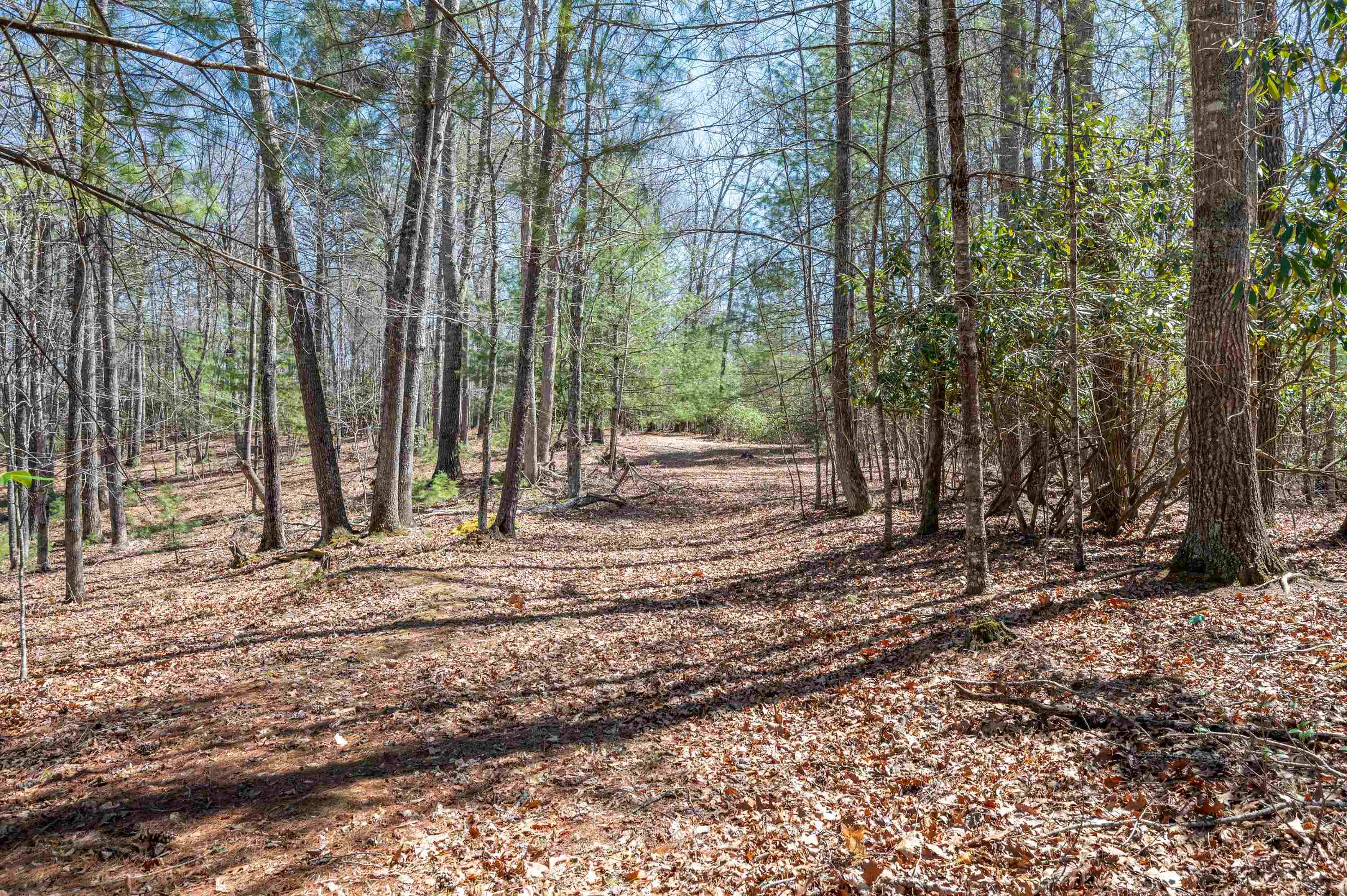 Lot 12 Ridgeline Trail Independence VA 24348