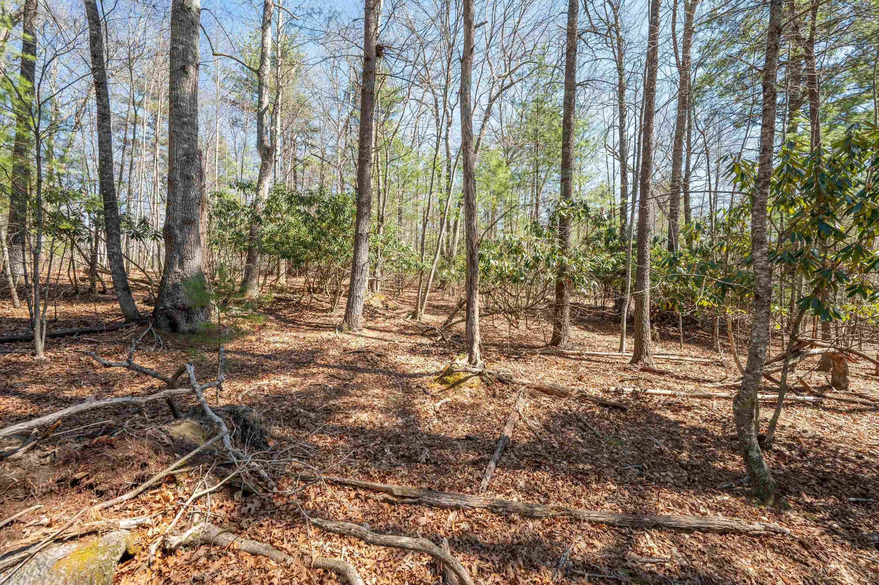 Lot 12 Ridgeline Trail Independence VA 24348