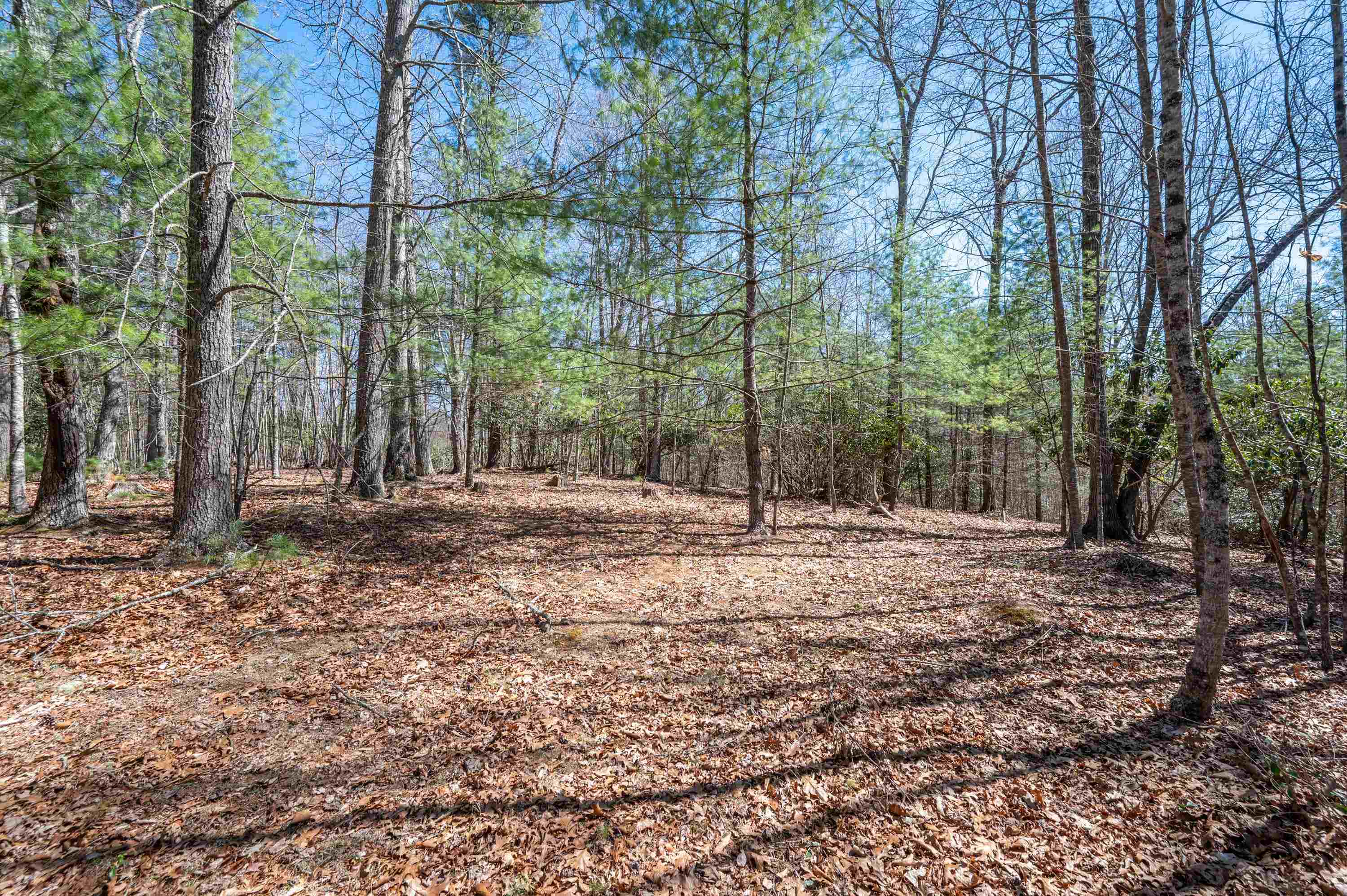Lot 12 Ridgeline Trail Independence VA 24348