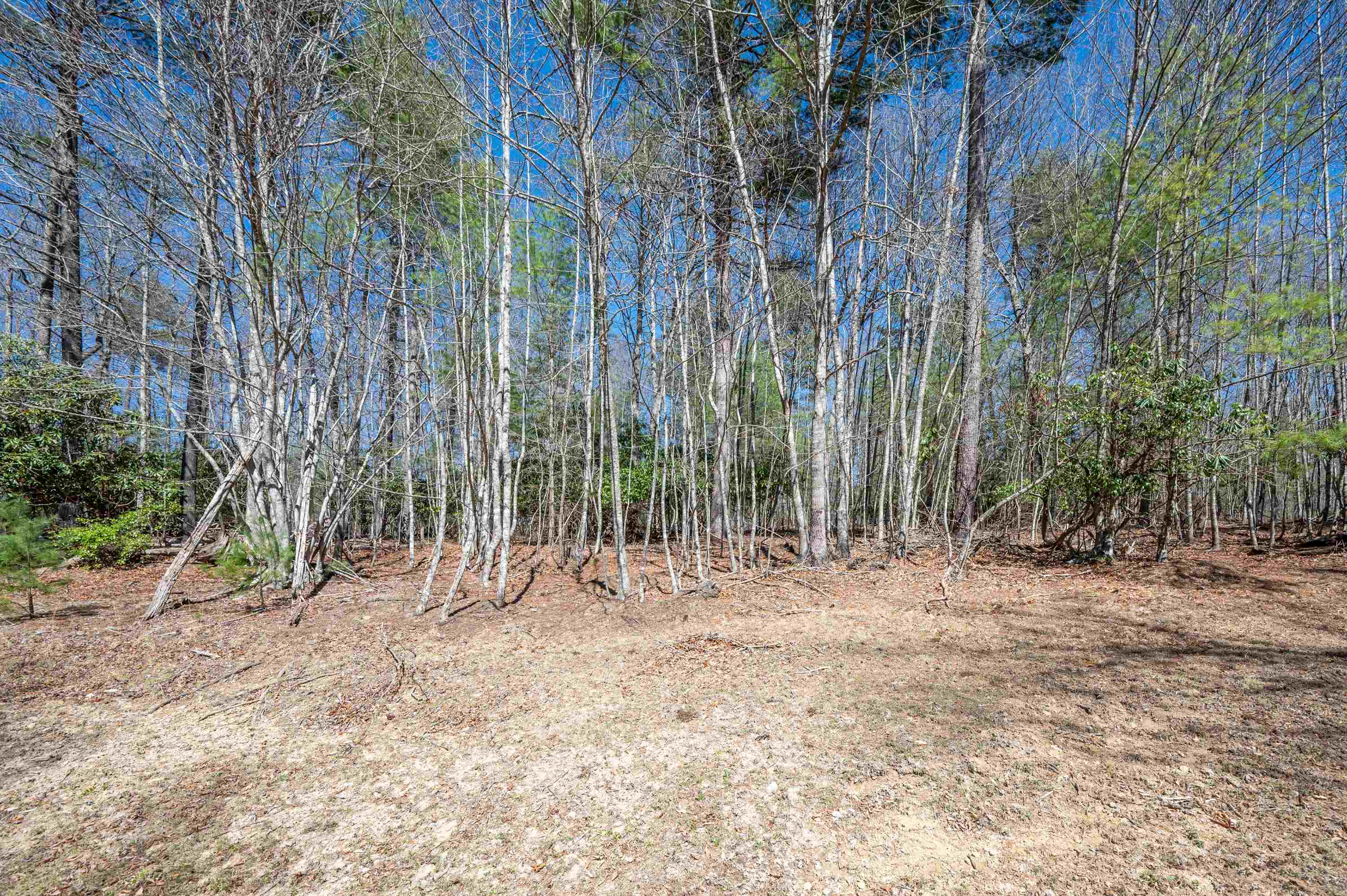 Lot 12 Ridgeline Trail Independence VA 24348