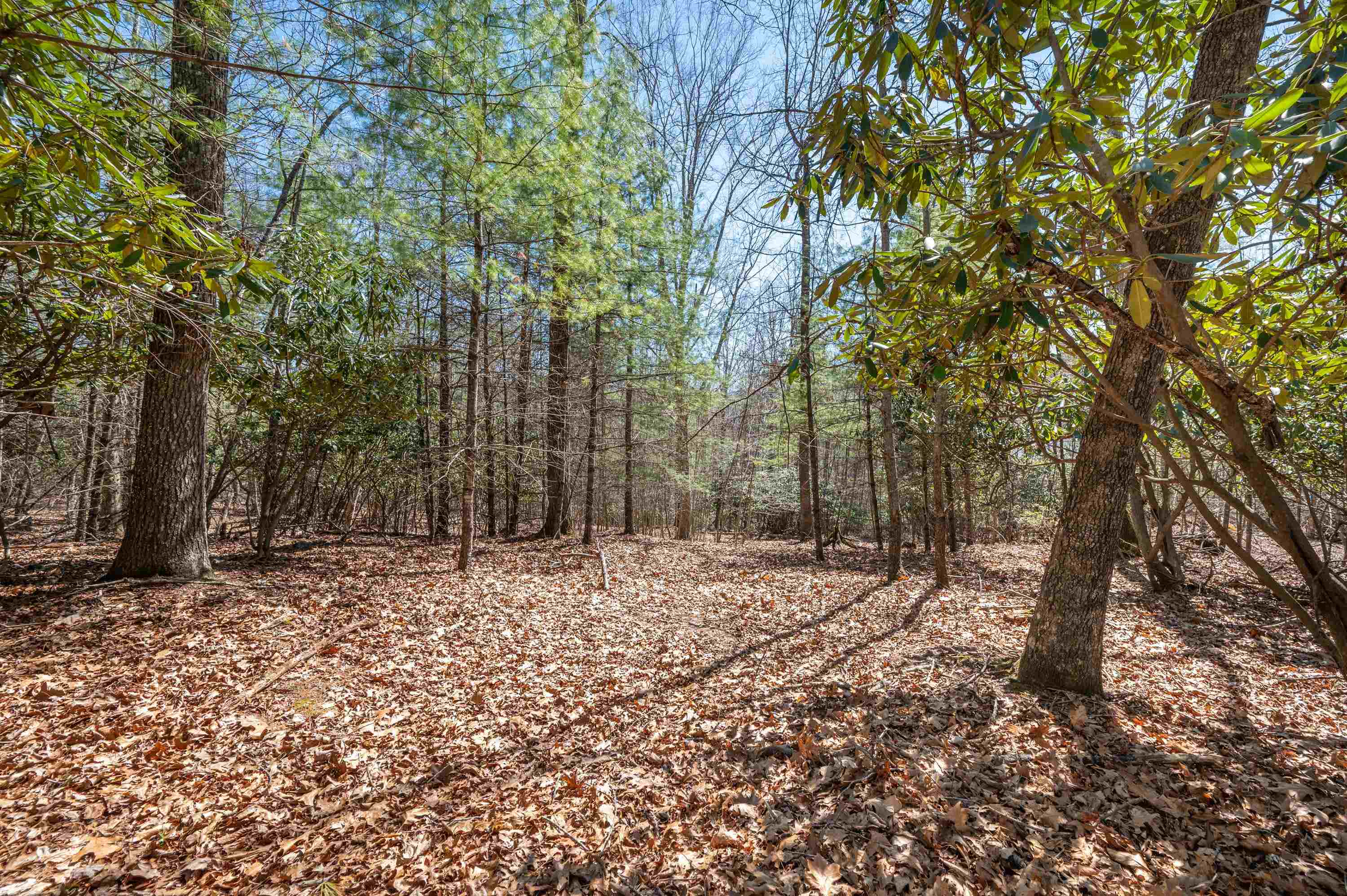 Lot 12 Ridgeline Trail Independence VA 24348