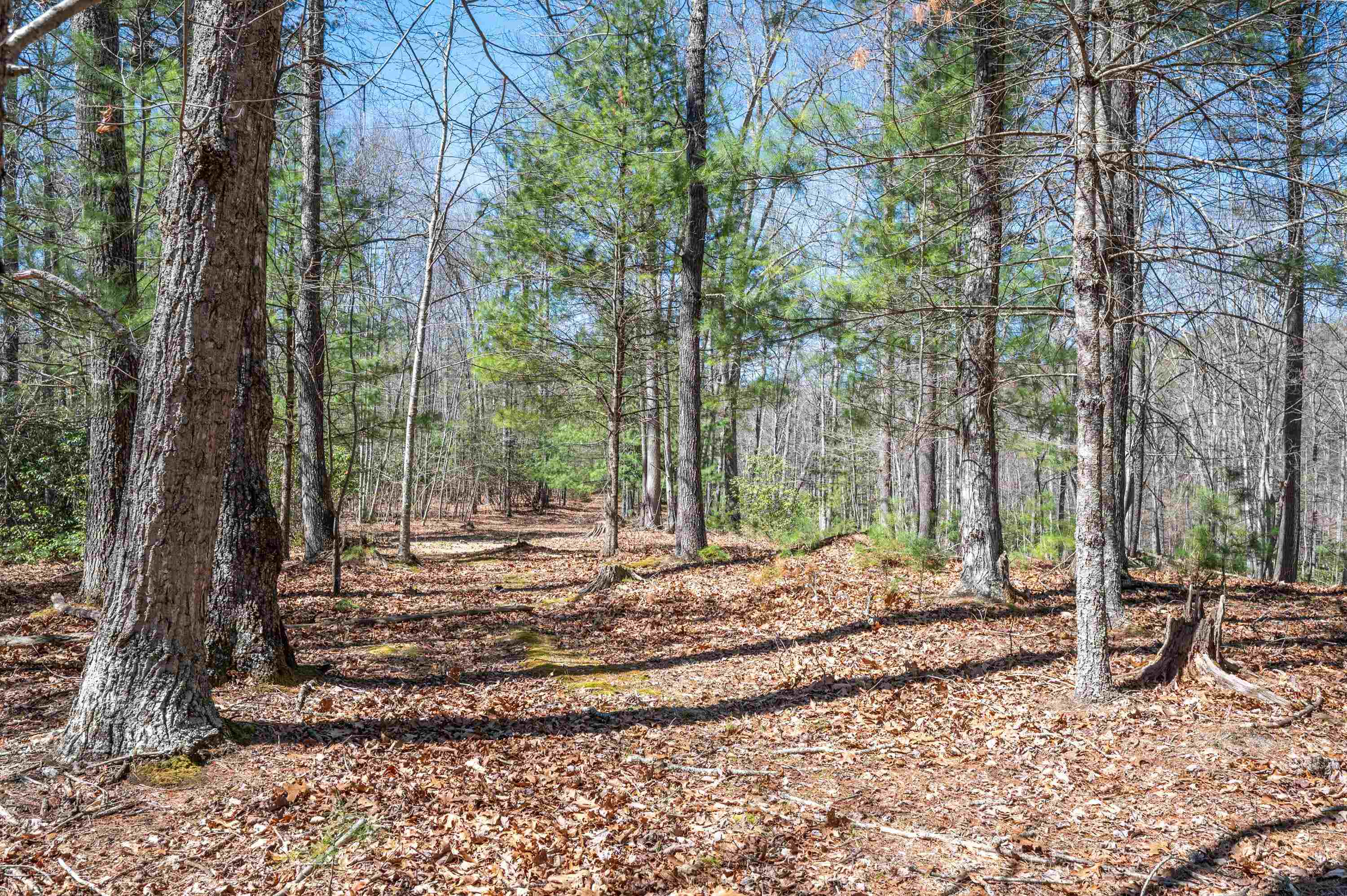 Lot 12 Ridgeline Trail Independence VA 24348
