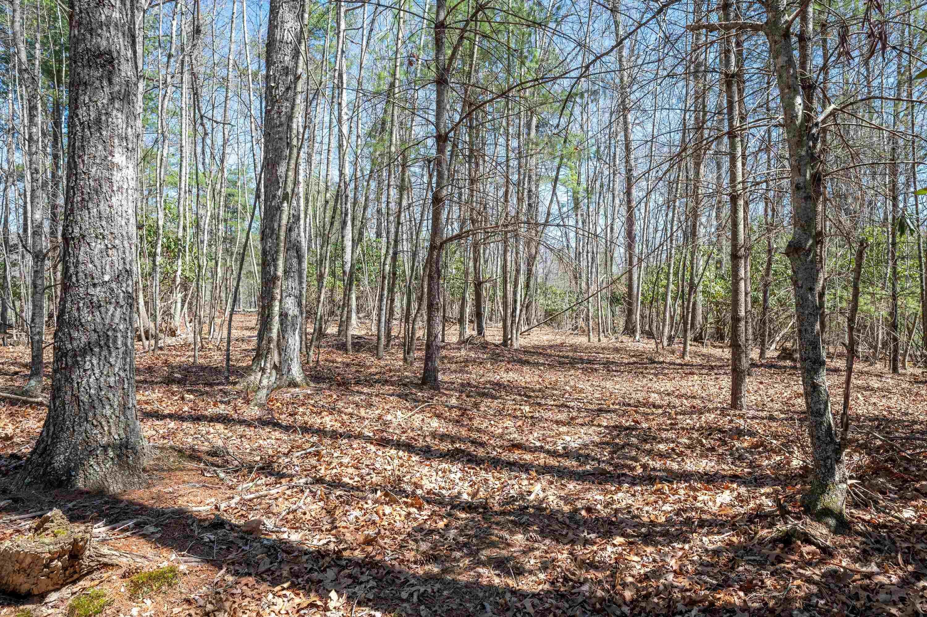 Lot 12 Ridgeline Trail Independence VA 24348