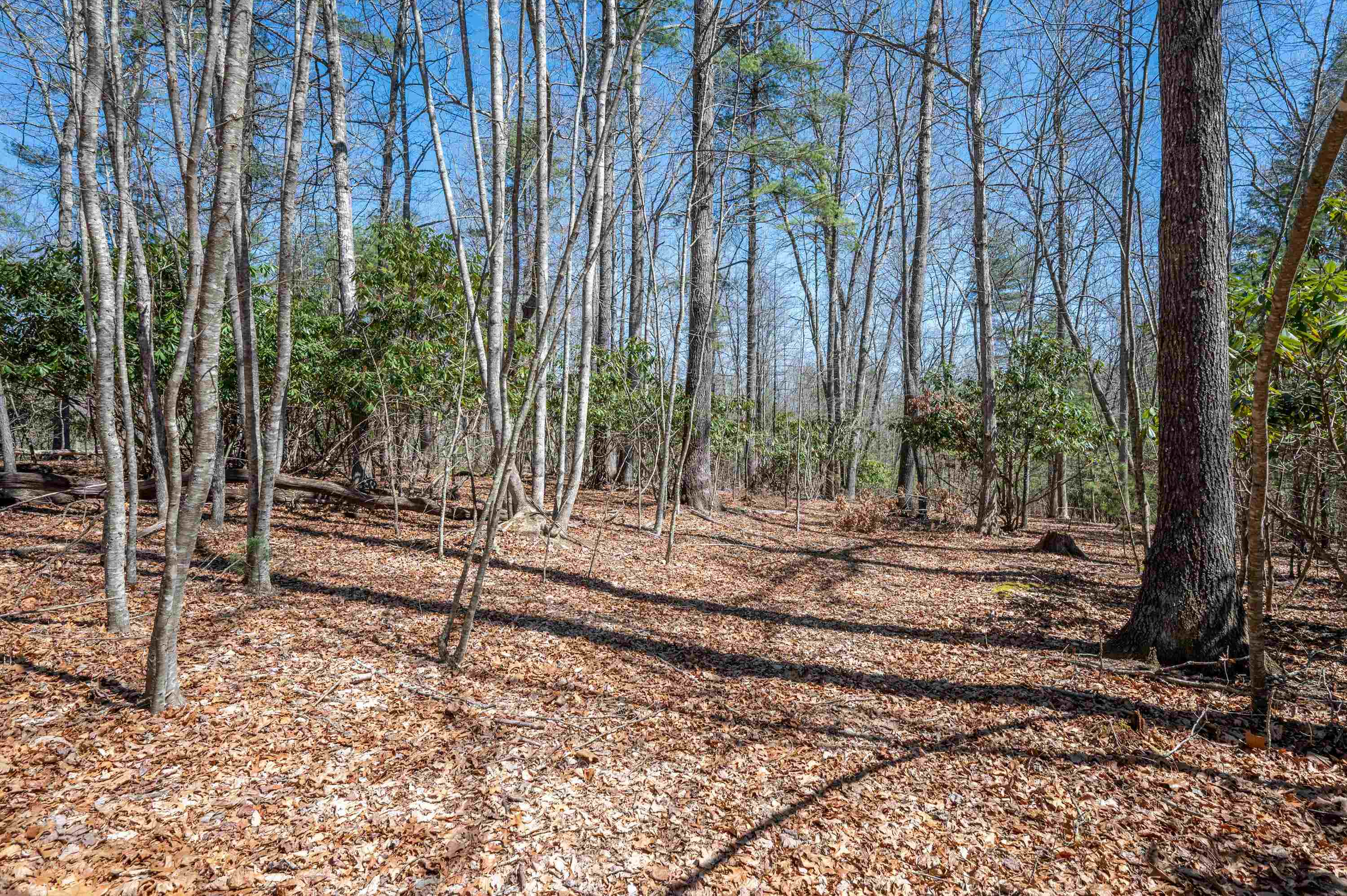 Lot 12 Ridgeline Trail Independence VA 24348
