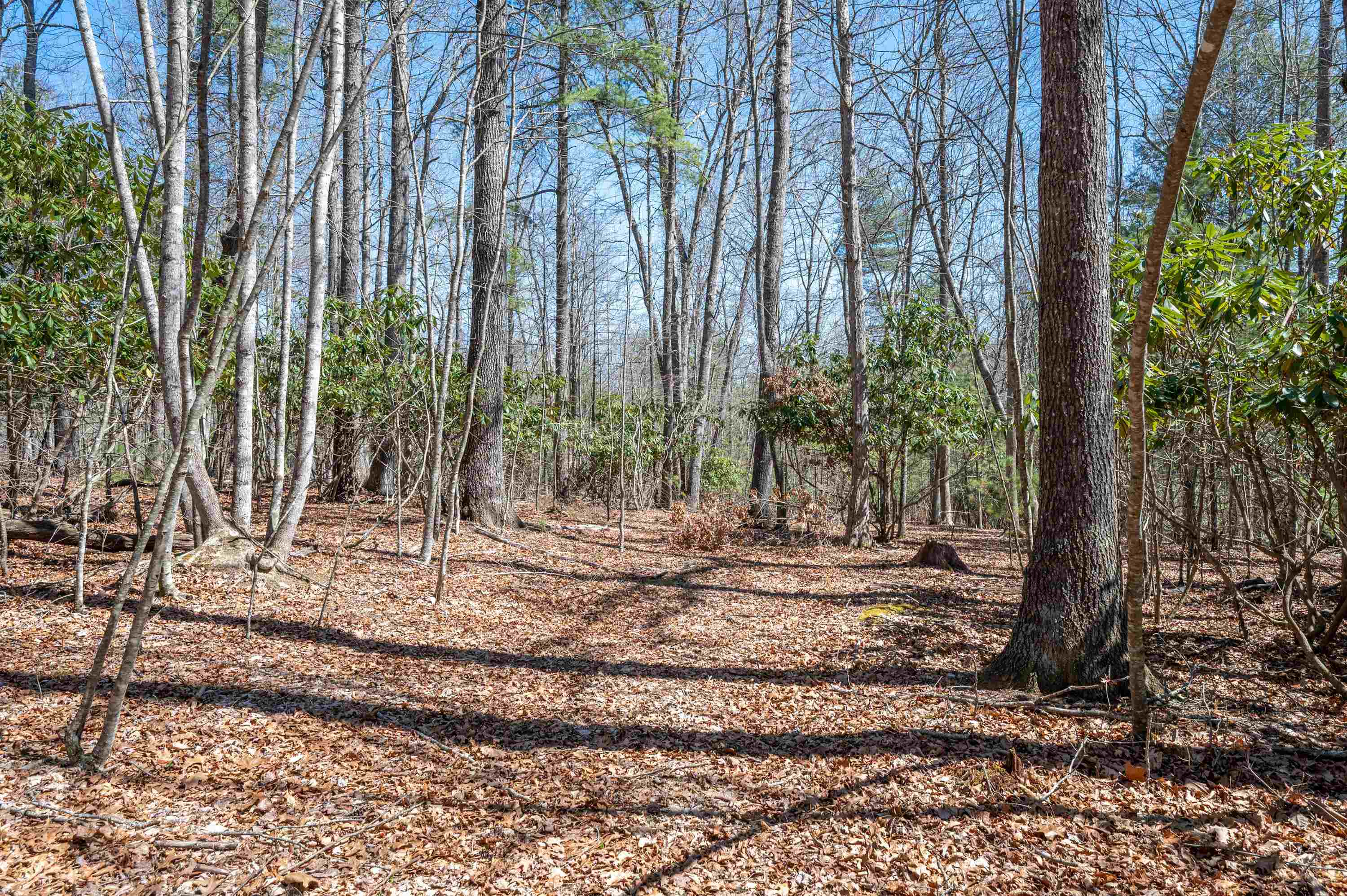 Lot 12 Ridgeline Trail Independence VA 24348
