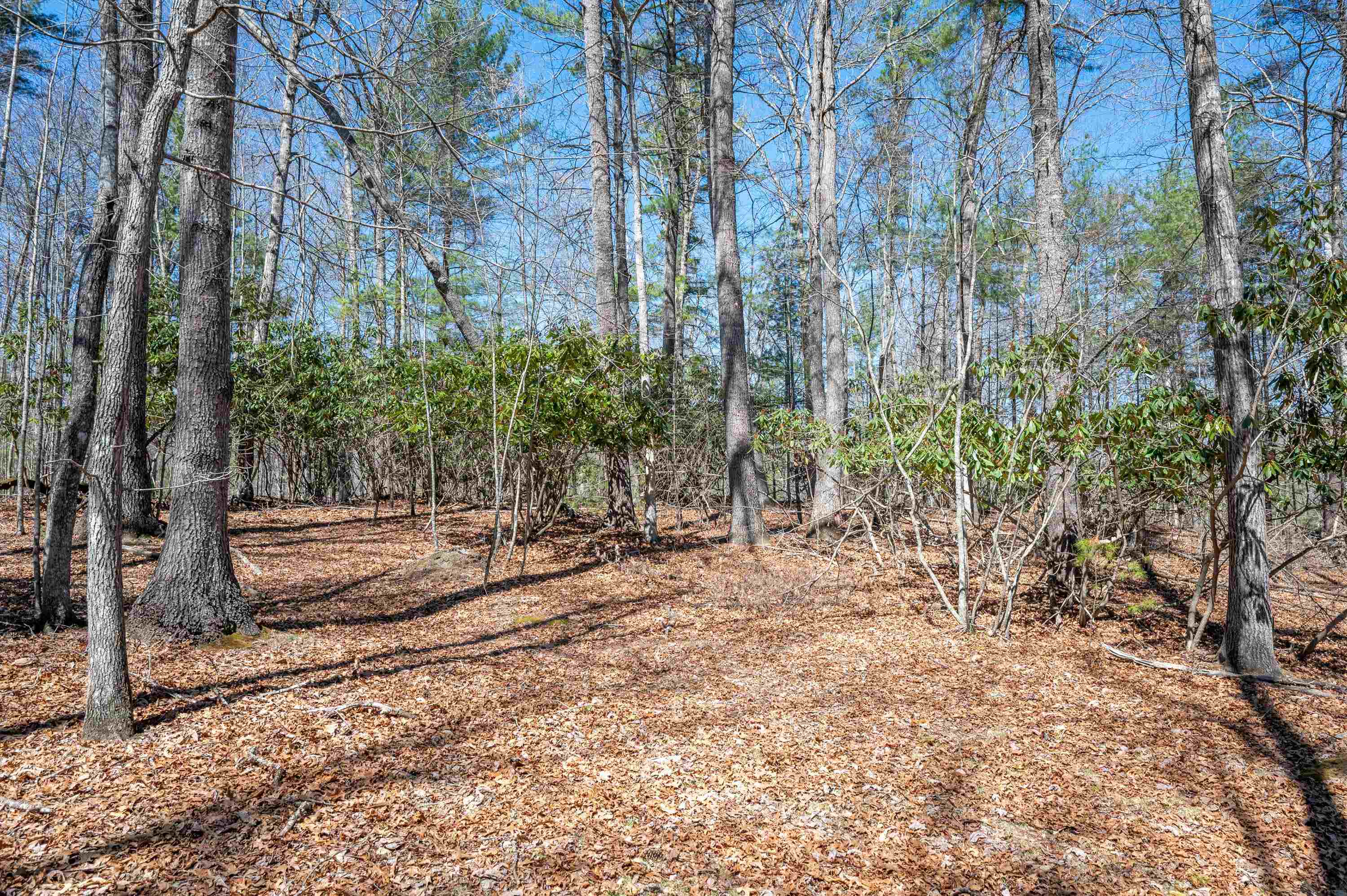 Lot 12 Ridgeline Trail Independence VA 24348