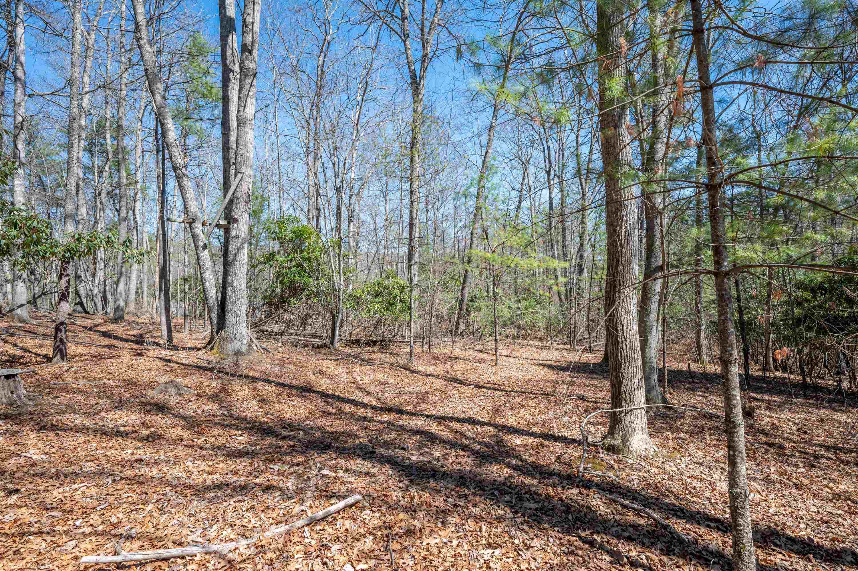Lot 12 Ridgeline Trail Independence VA 24348