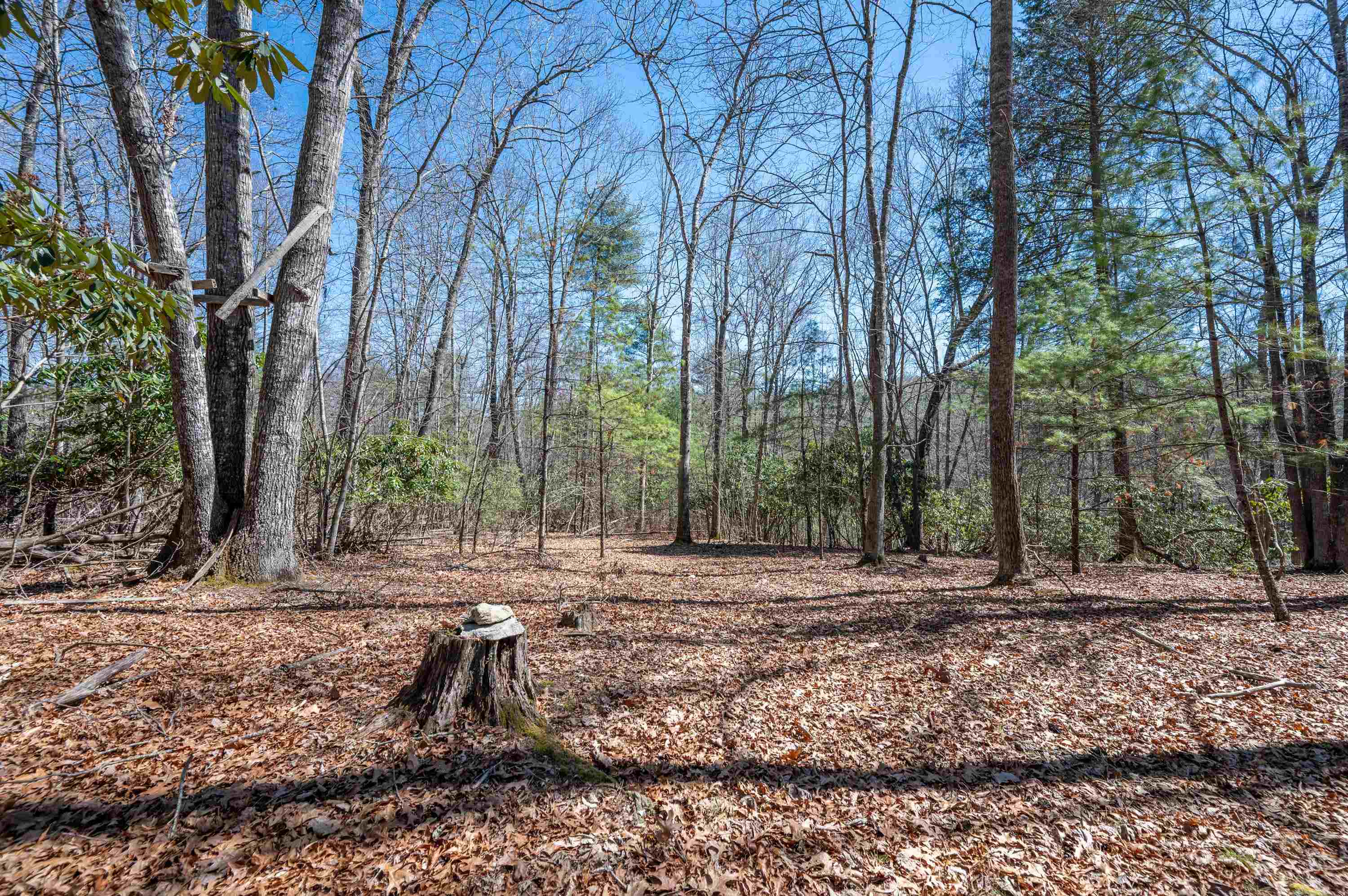 Lot 12 Ridgeline Trail Independence VA 24348