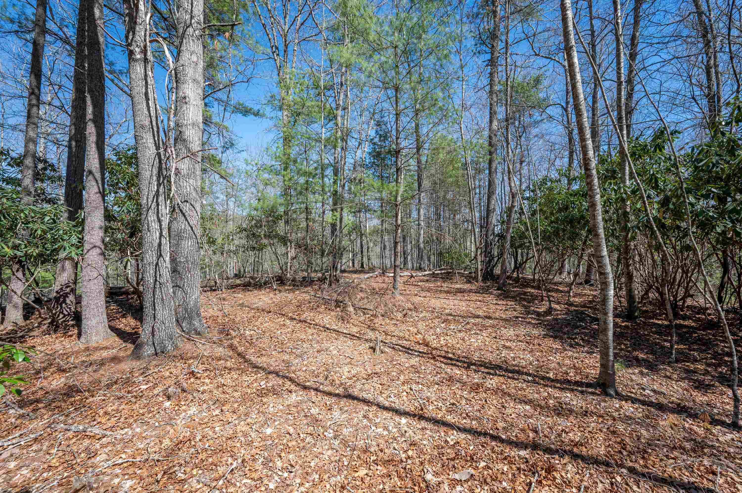 Lot 12 Ridgeline Trail Independence VA 24348
