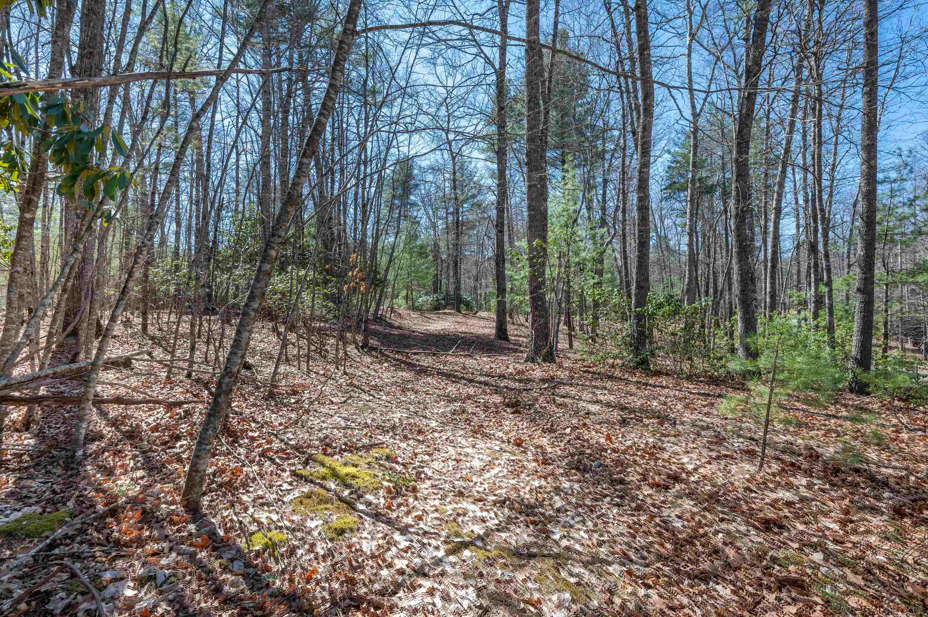 Lot 12 Ridgeline Trail Independence VA 24348