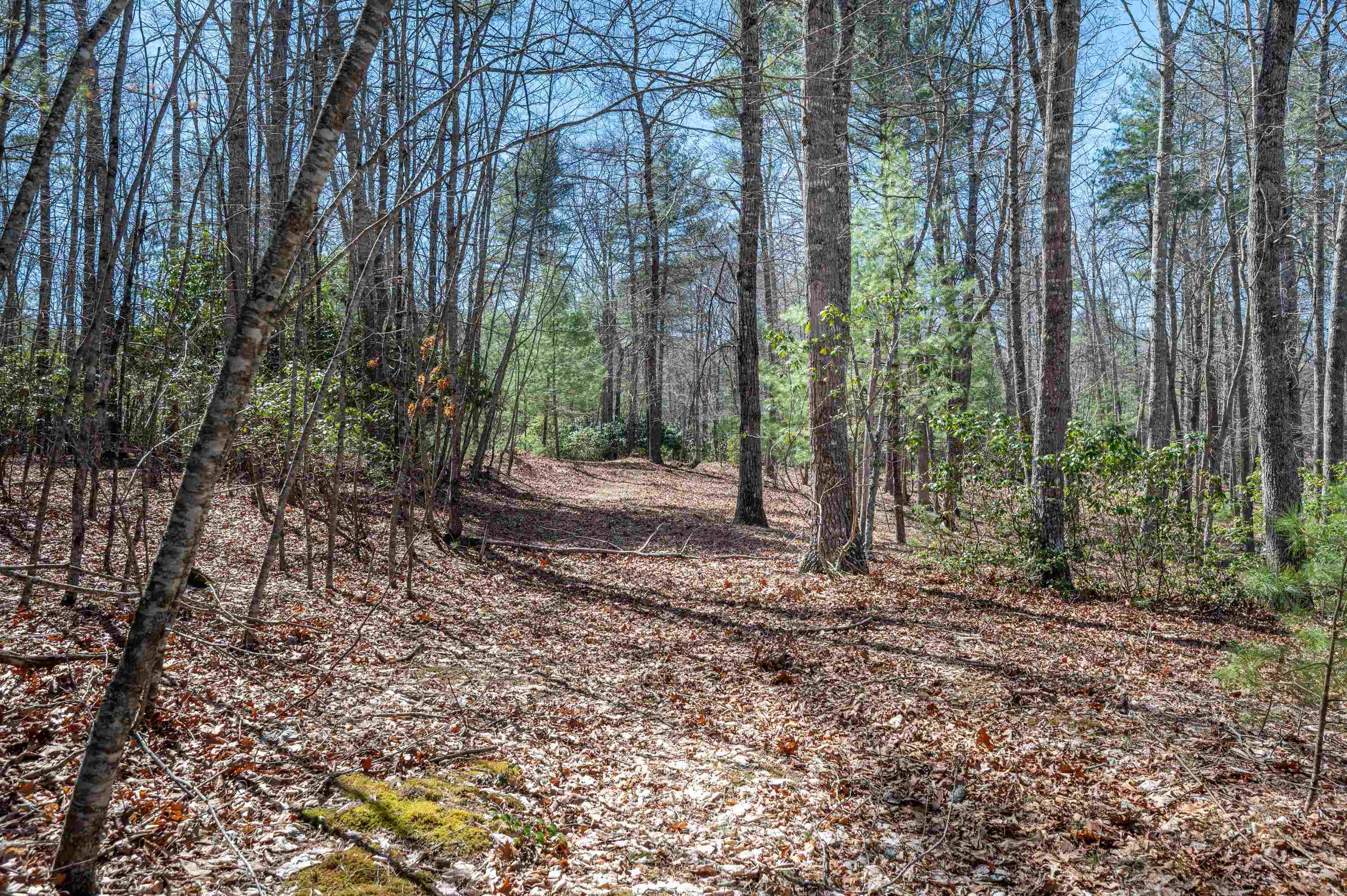 Lot 12 Ridgeline Trail Independence VA 24348