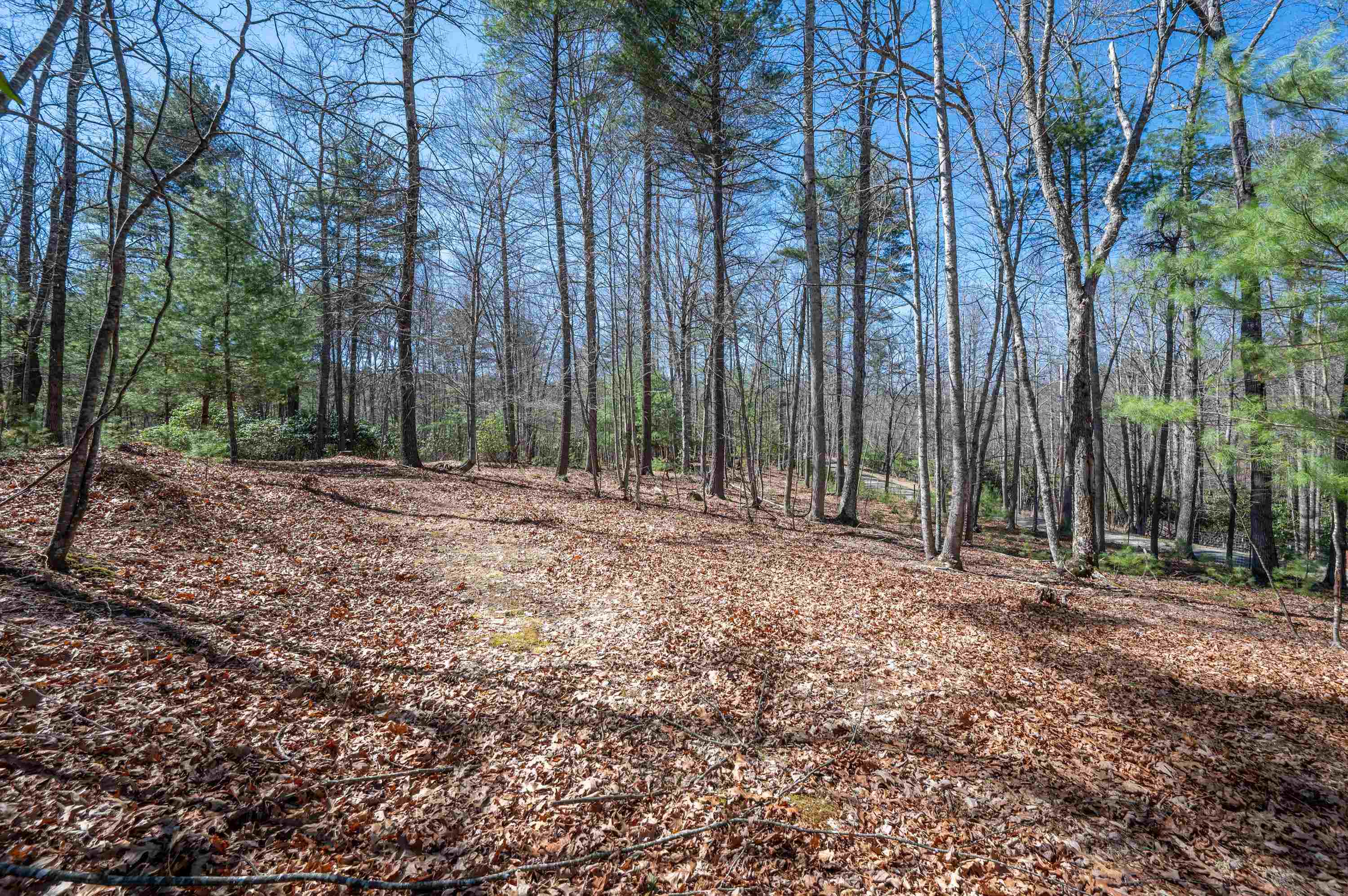 Lot 12 Ridgeline Trail Independence VA 24348