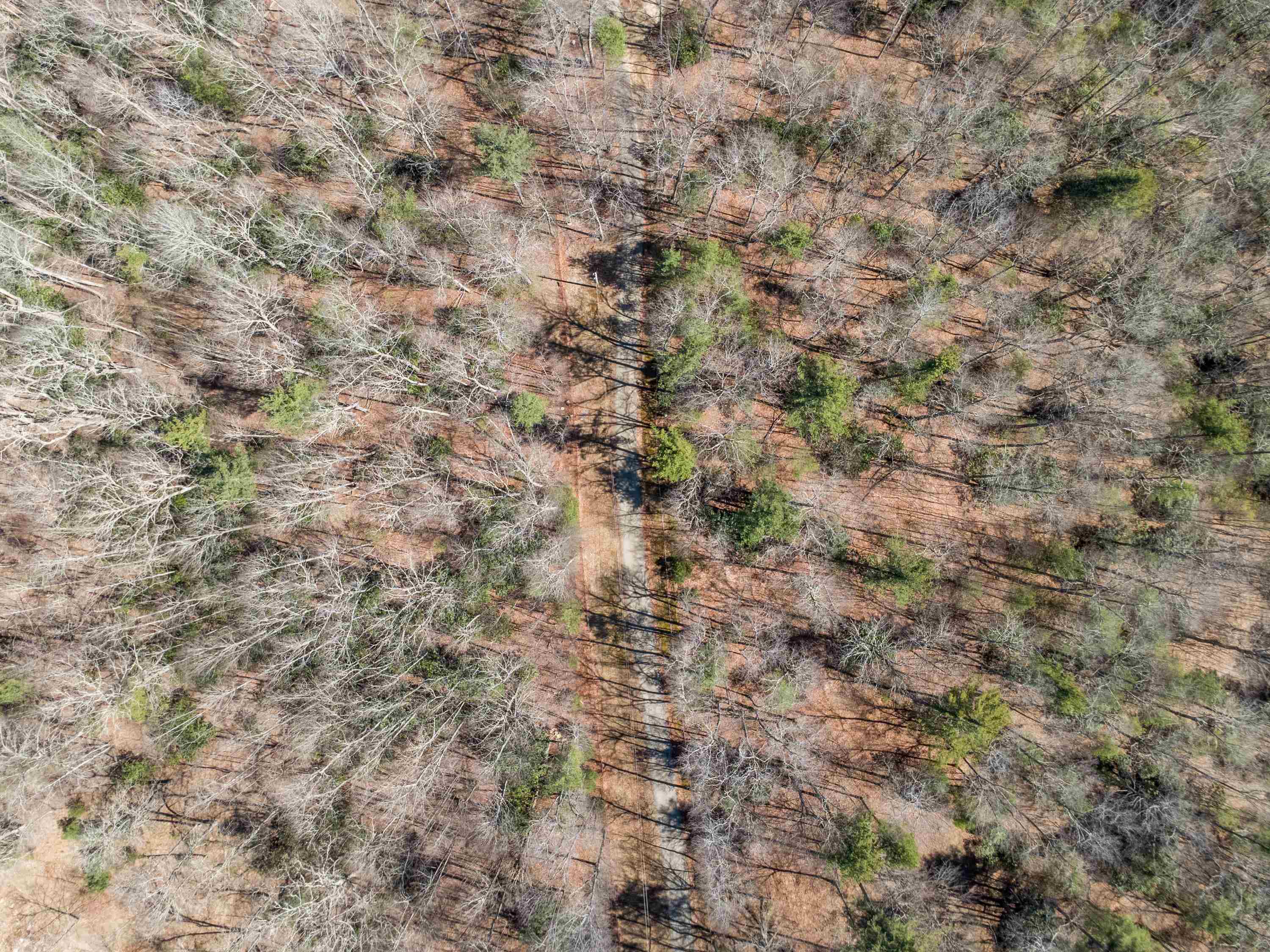 Lot 12 Ridgeline Trail Independence VA 24348