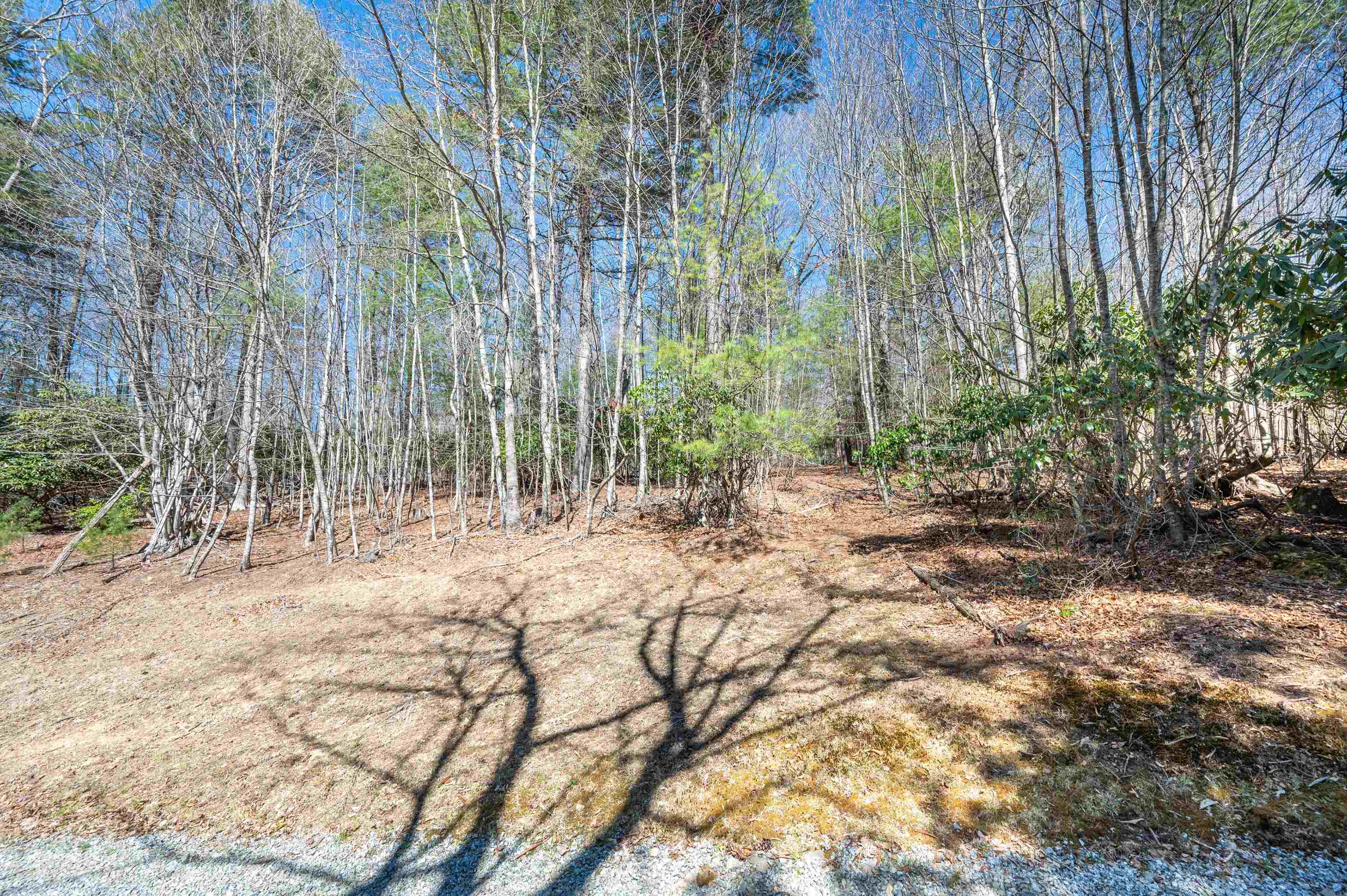Lot 12 Ridgeline Trail Independence VA 24348