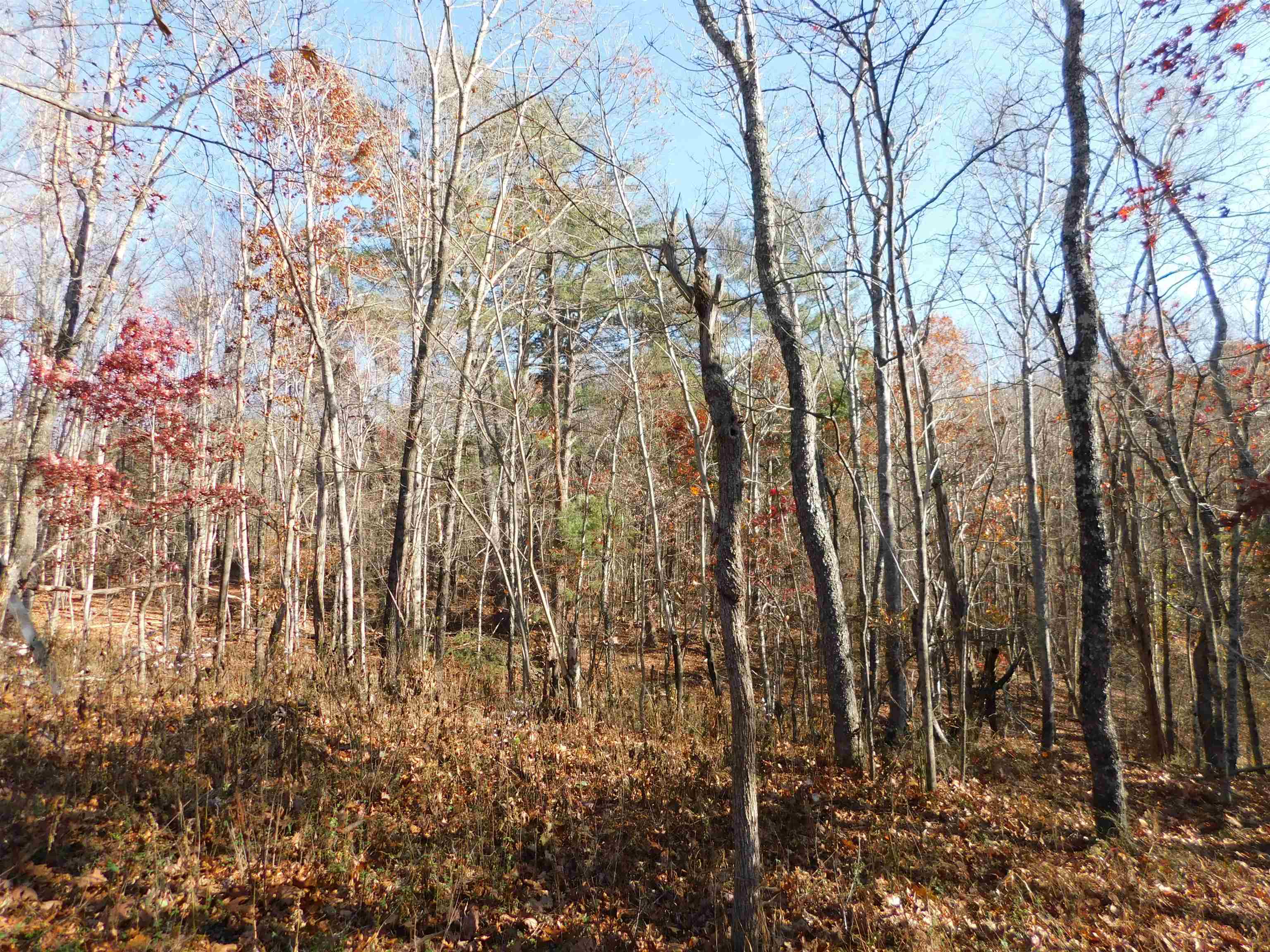 3525 Big Branch Road Riner VA 24149