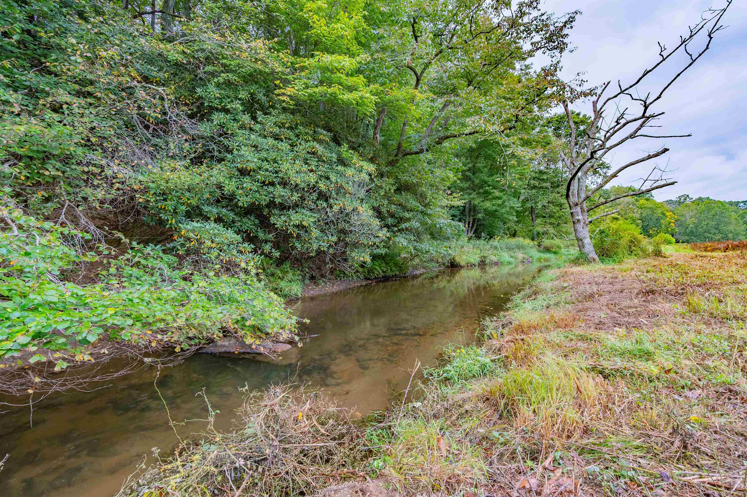 136 Mill Pond Road Floyd VA 24091