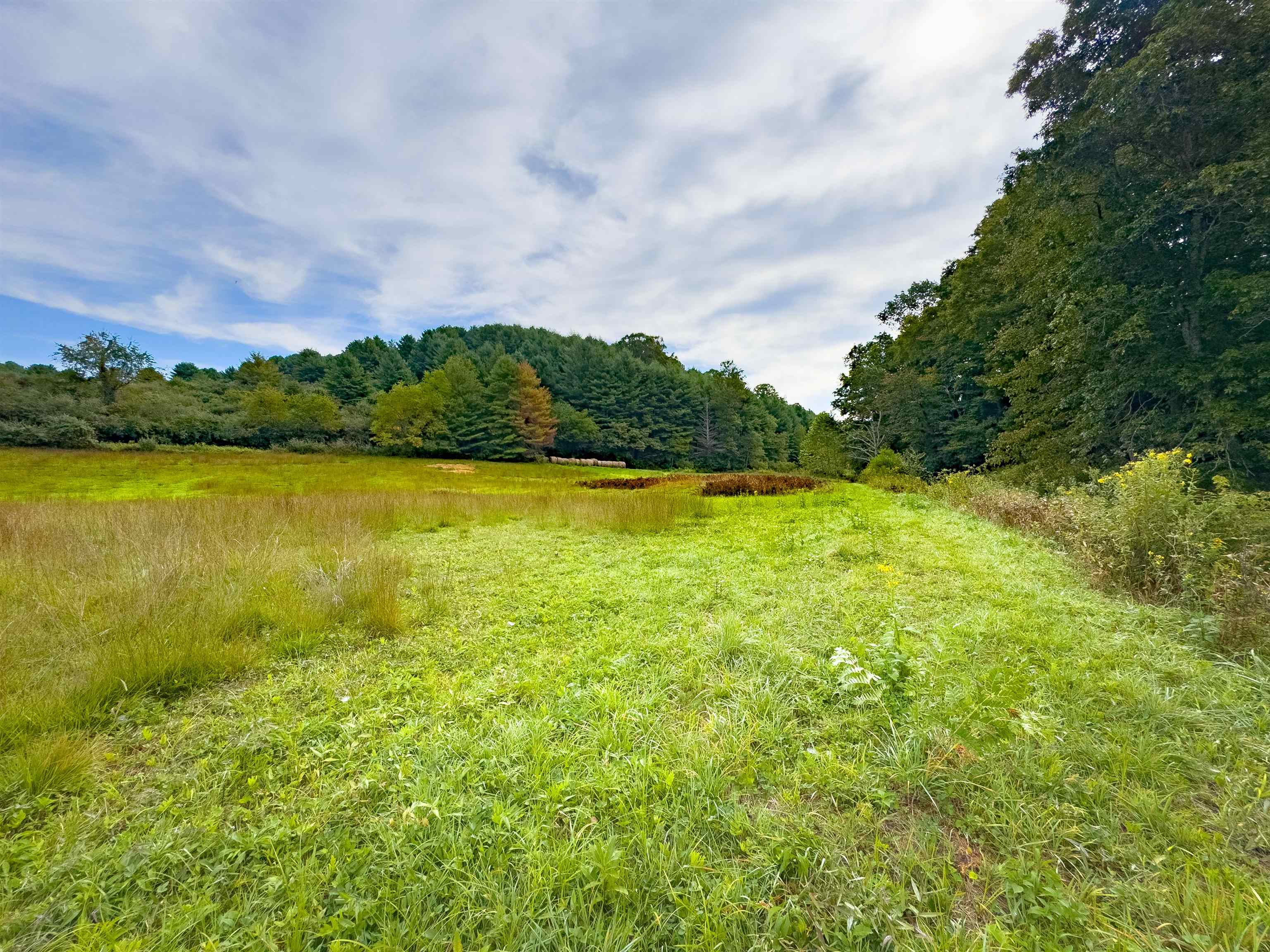 136 Mill Pond Road Floyd VA 24091