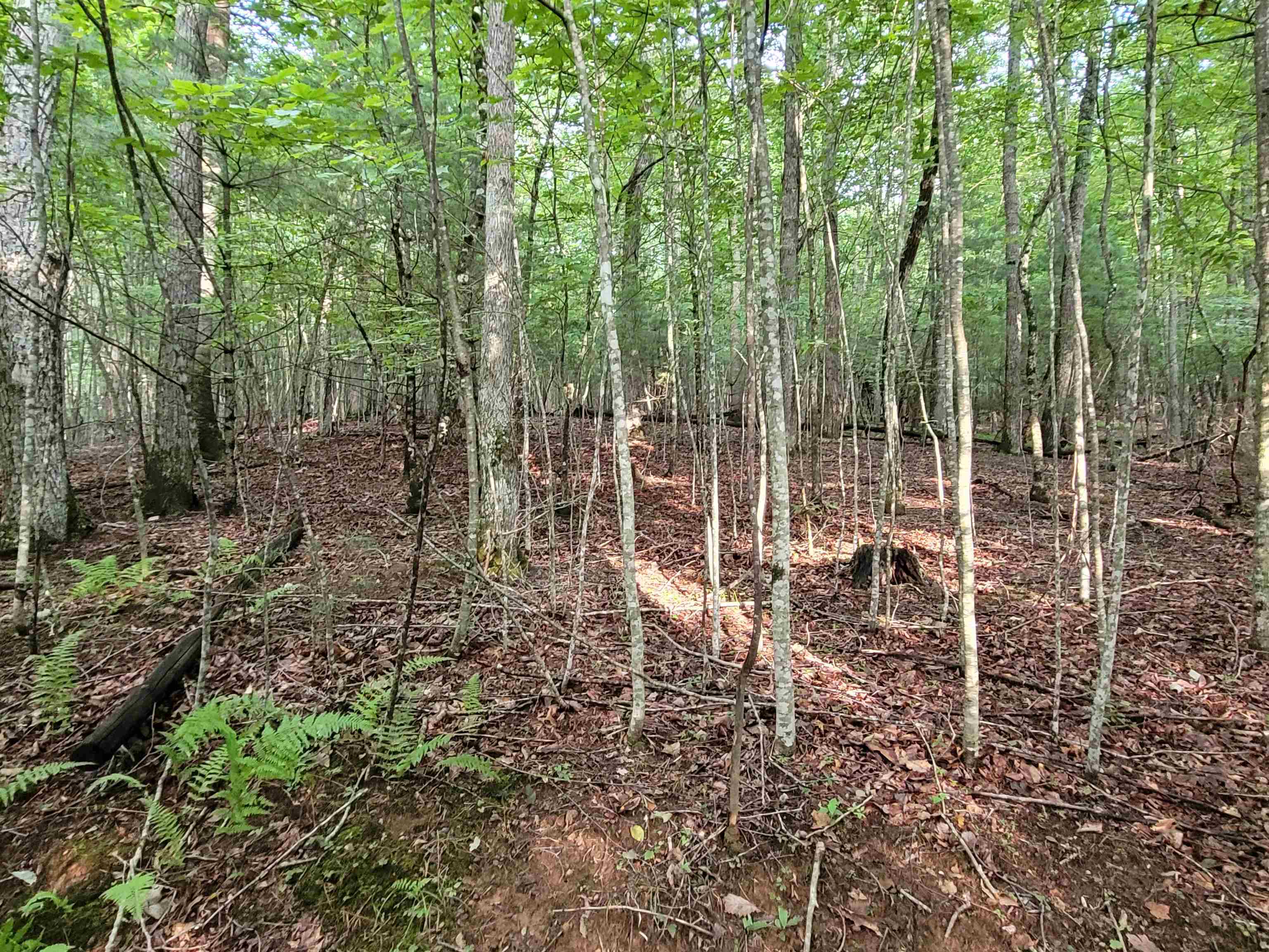 248 Oak Valley Lane Galax VA 24333