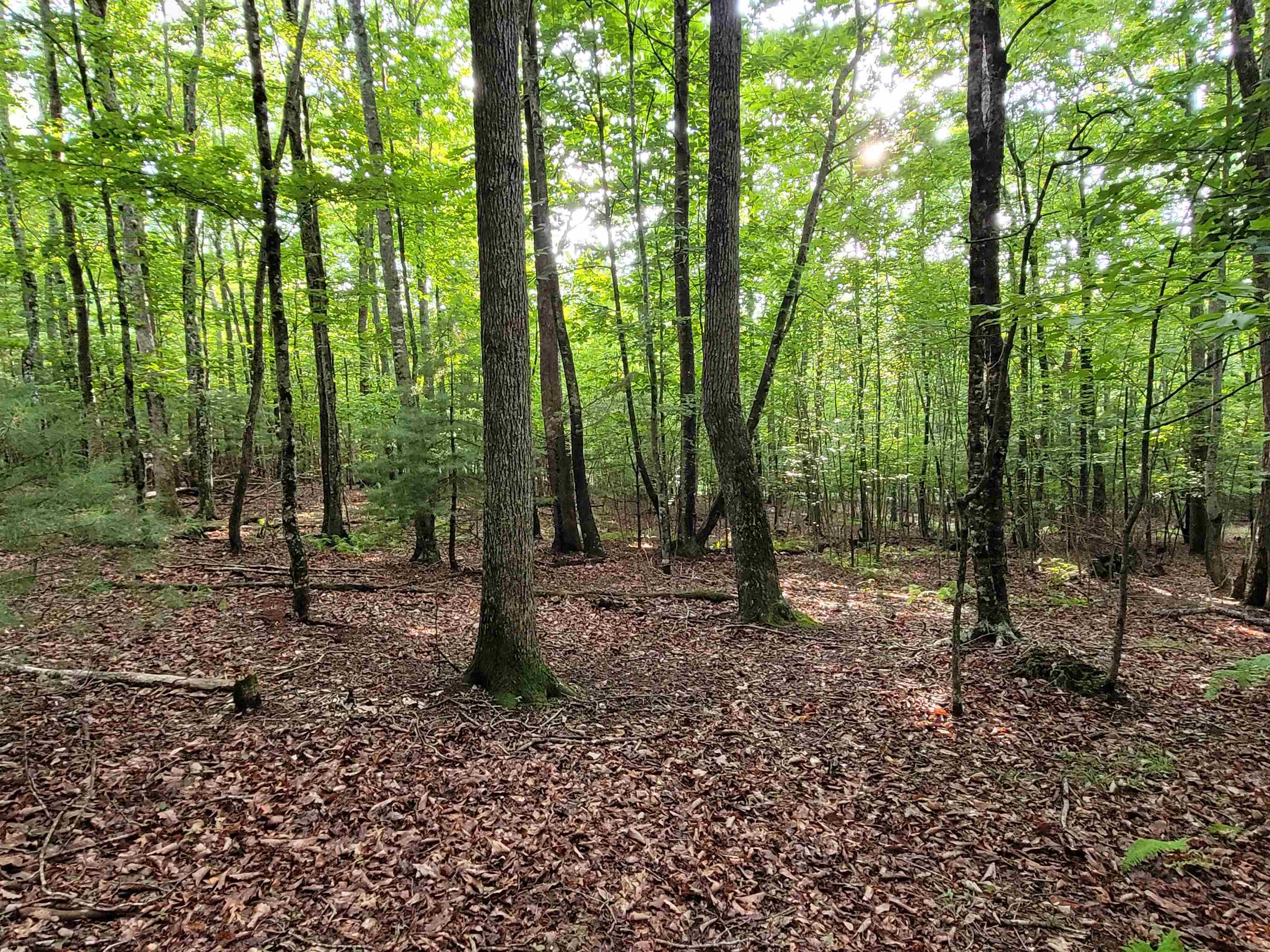 248 Oak Valley Lane Galax VA 24333