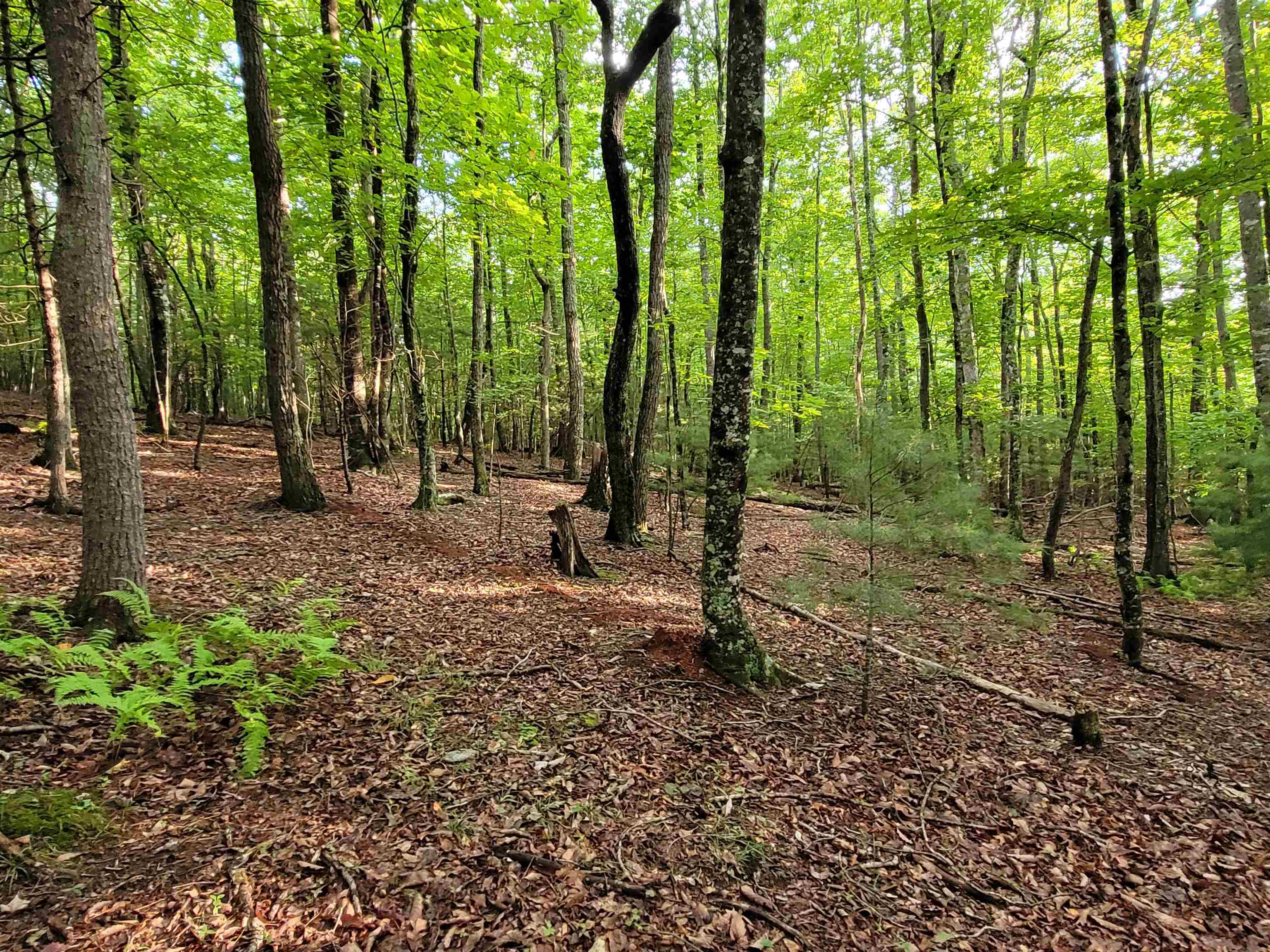 248 Oak Valley Lane Galax VA 24333