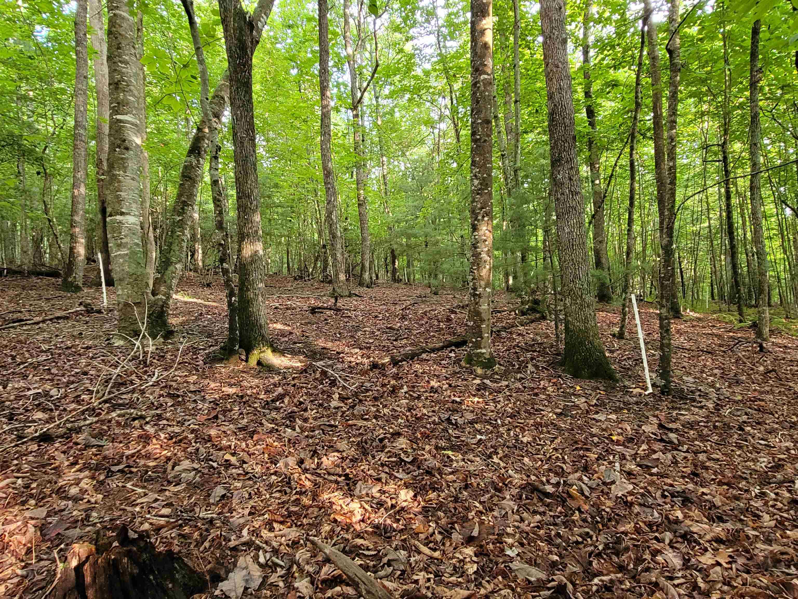 248 Oak Valley Lane Galax VA 24333