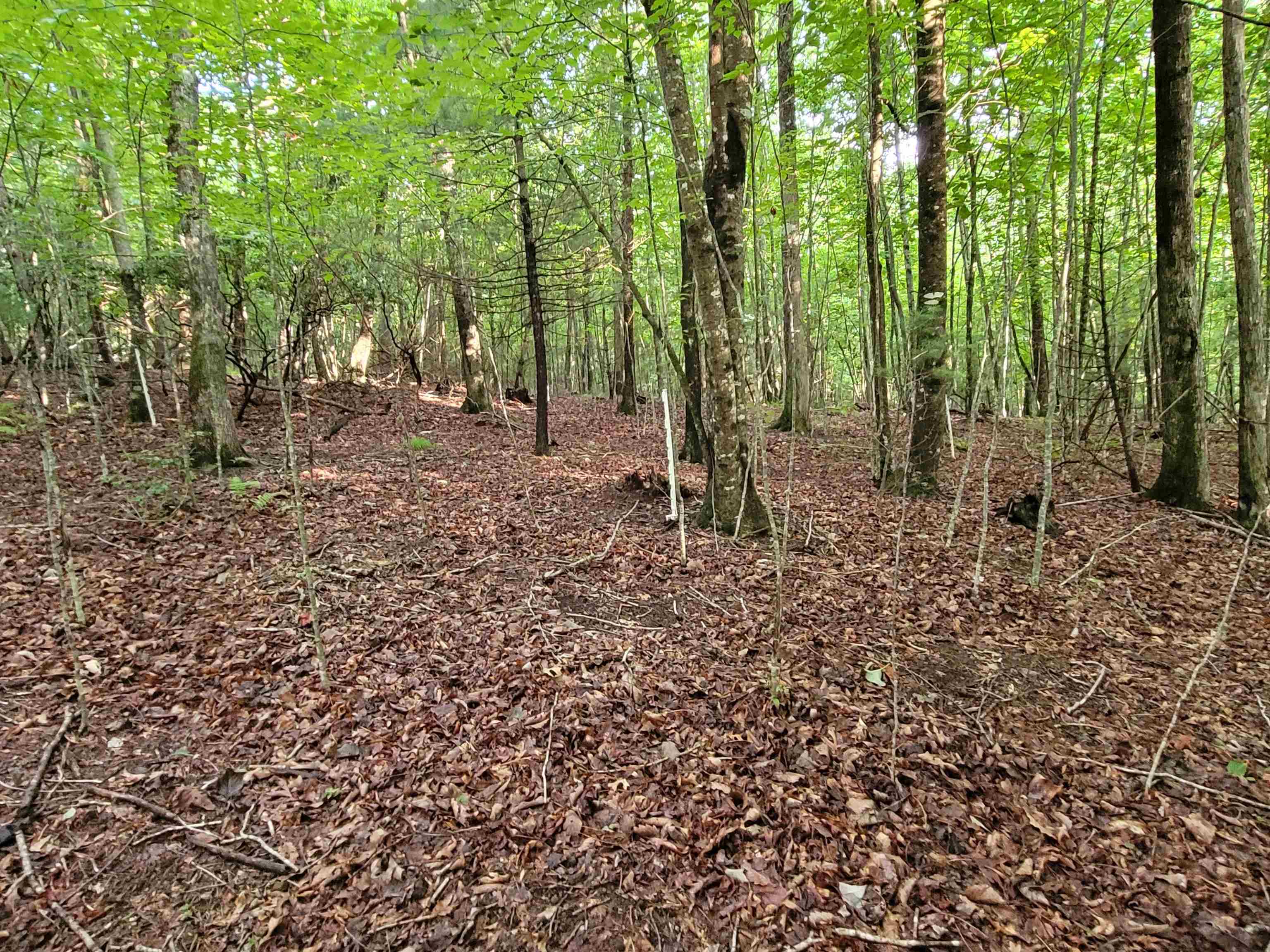 248 Oak Valley Lane Galax VA 24333