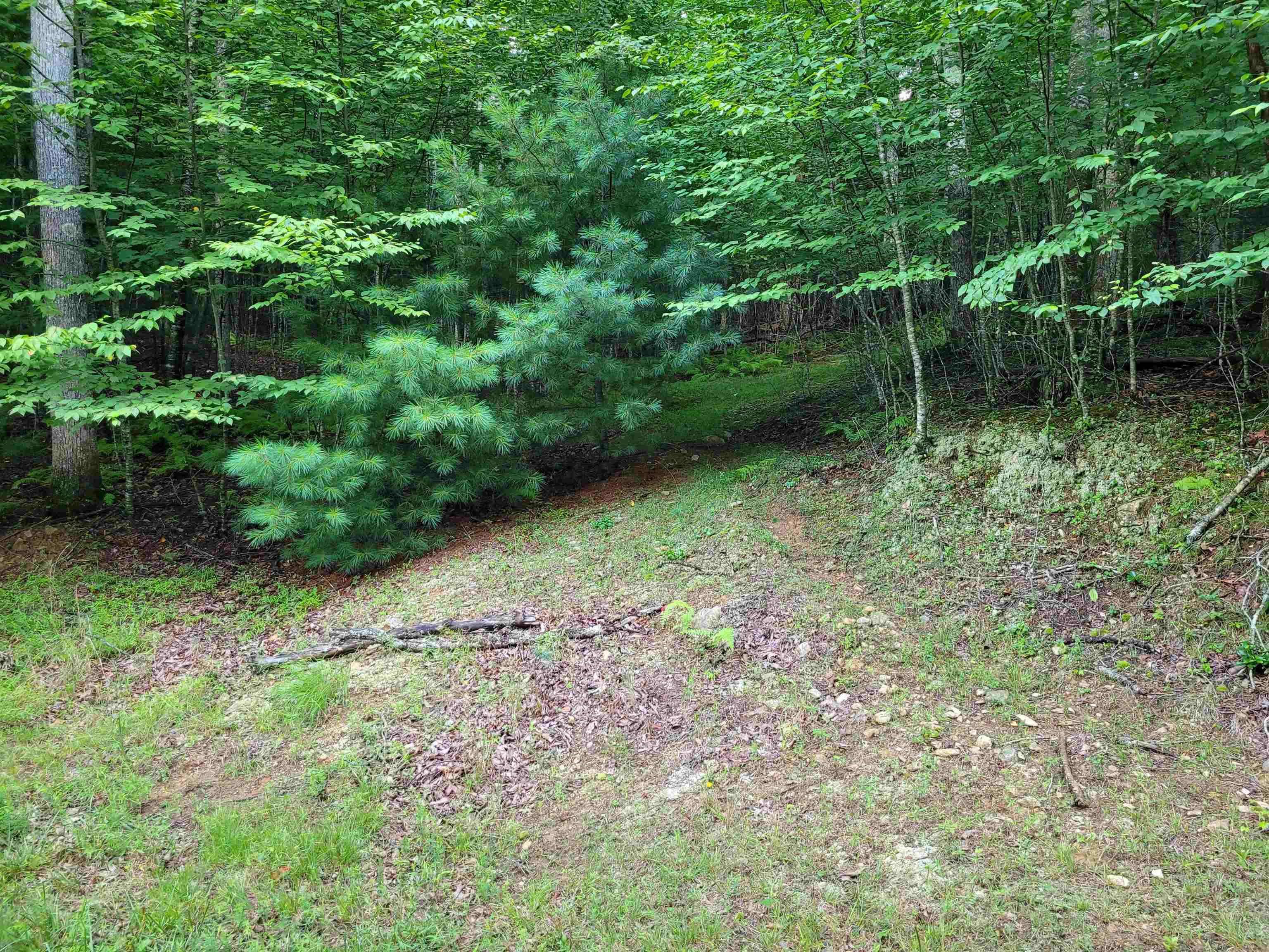 248 Oak Valley Lane Galax VA 24333