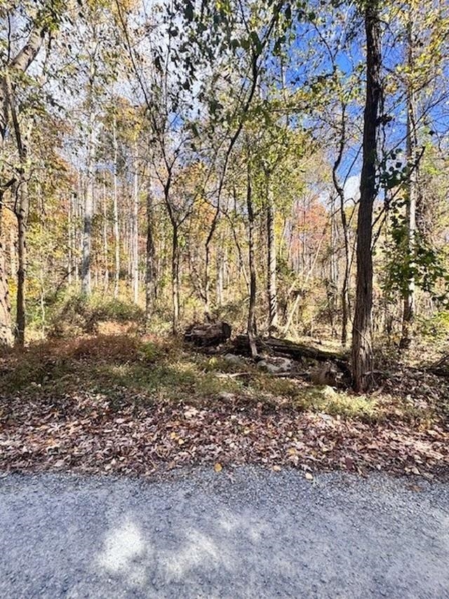 0 Dry Branch Road Pembroke VA 24136