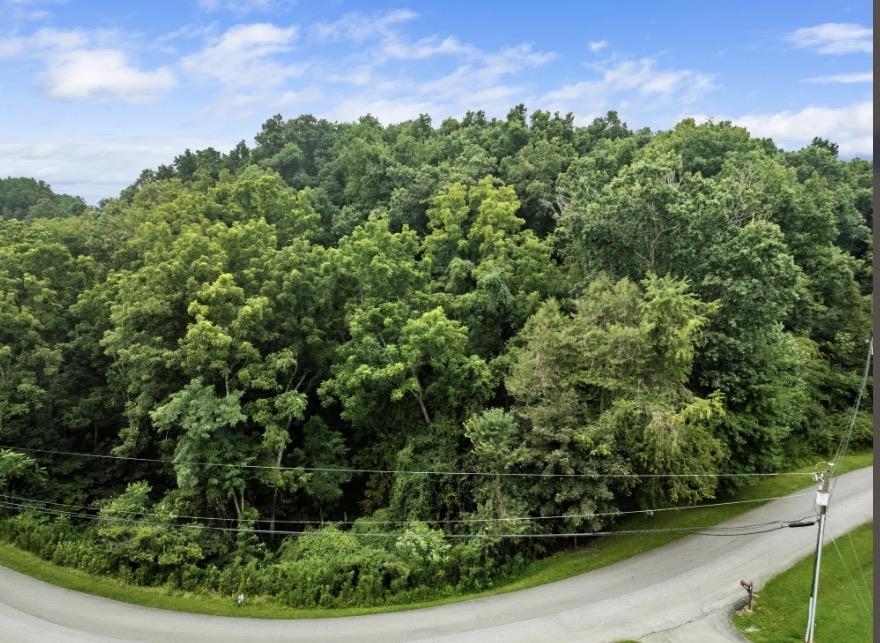 Tbd Riverbluff Road Fairlawn VA 24141