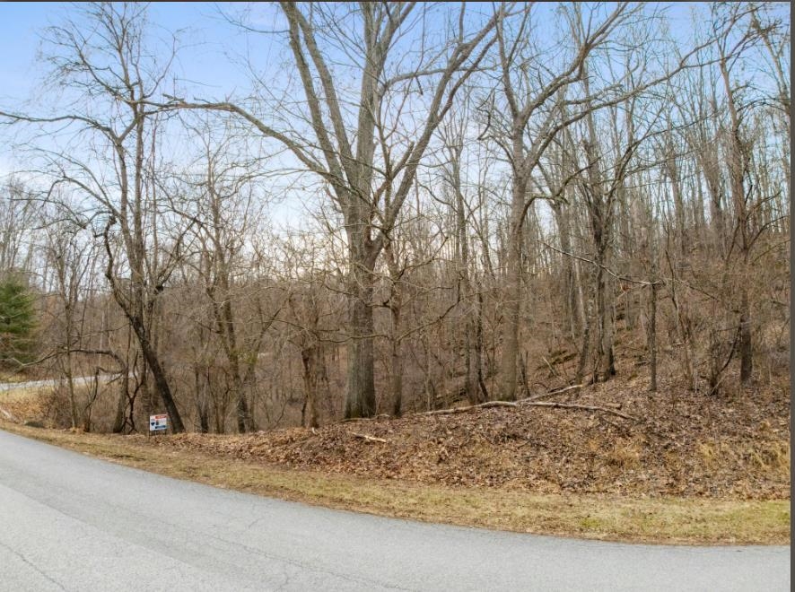 Tbd Riverbluff Road Fairlawn VA 24141