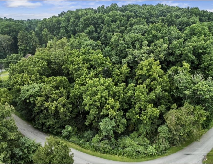 Tbd Riverbluff Road Fairlawn VA 24141