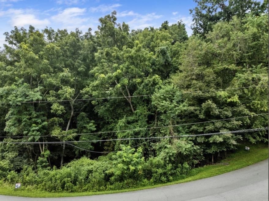 Tbd Riverbluff Road Fairlawn VA 24141