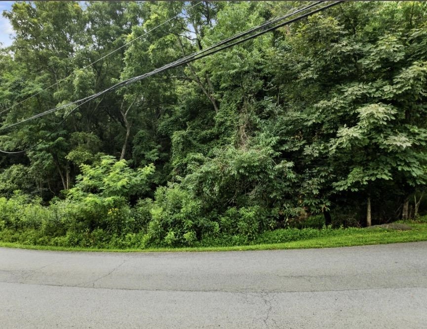 Tbd Riverbluff Road Fairlawn VA 24141