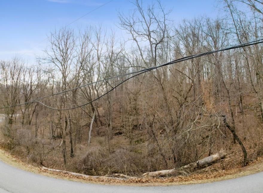 Tbd Riverbluff Road Fairlawn VA 24141