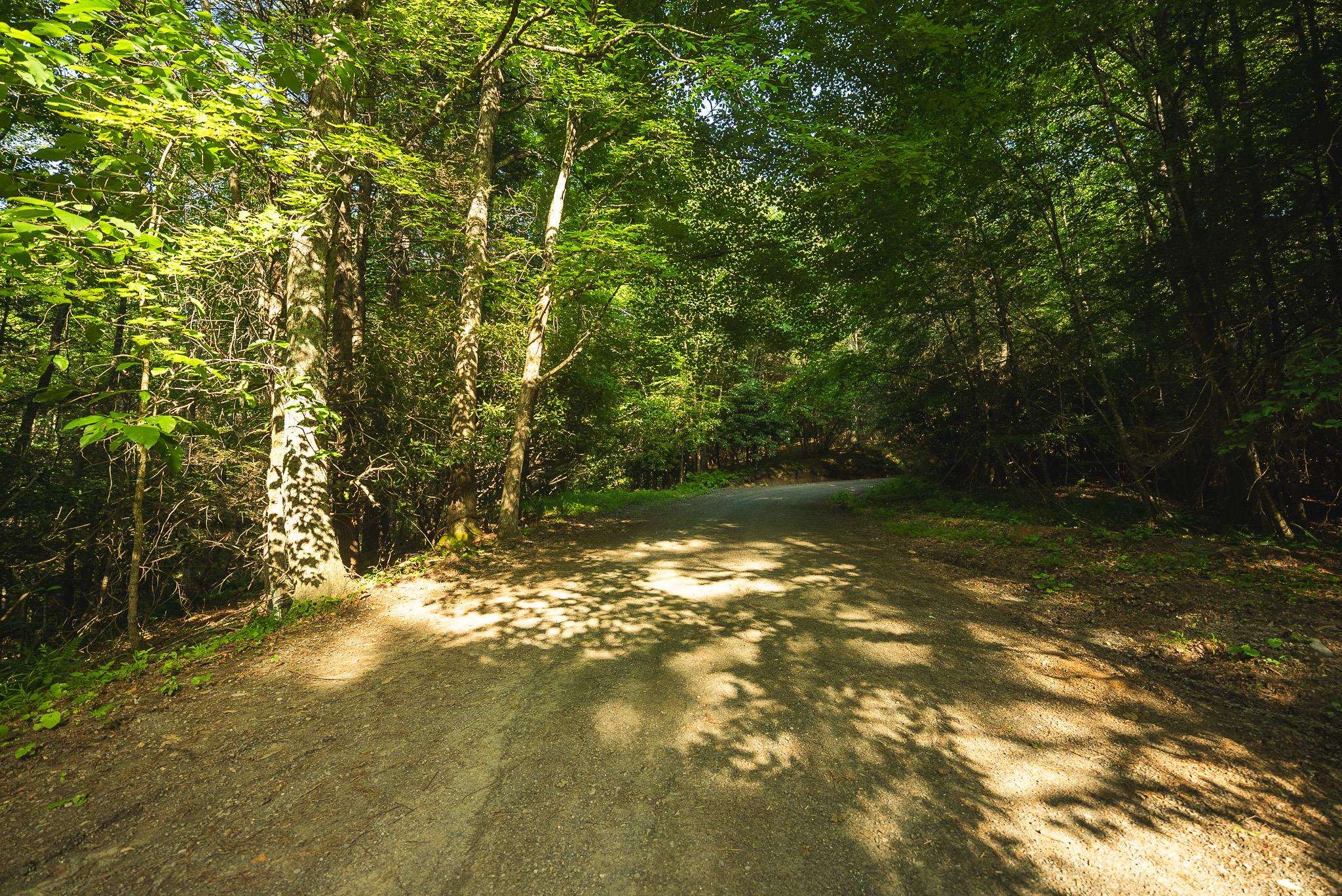 Tbd Sawmill Hill Road Willis VA 24380