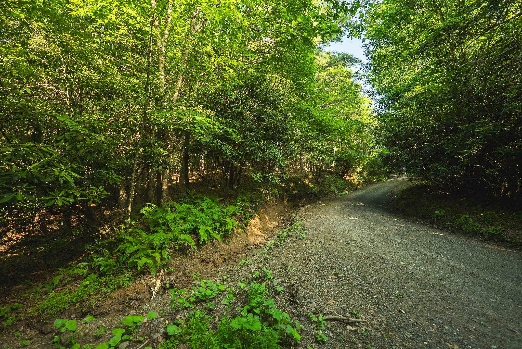 Tbd Sawmill Hill Road Willis VA 24380