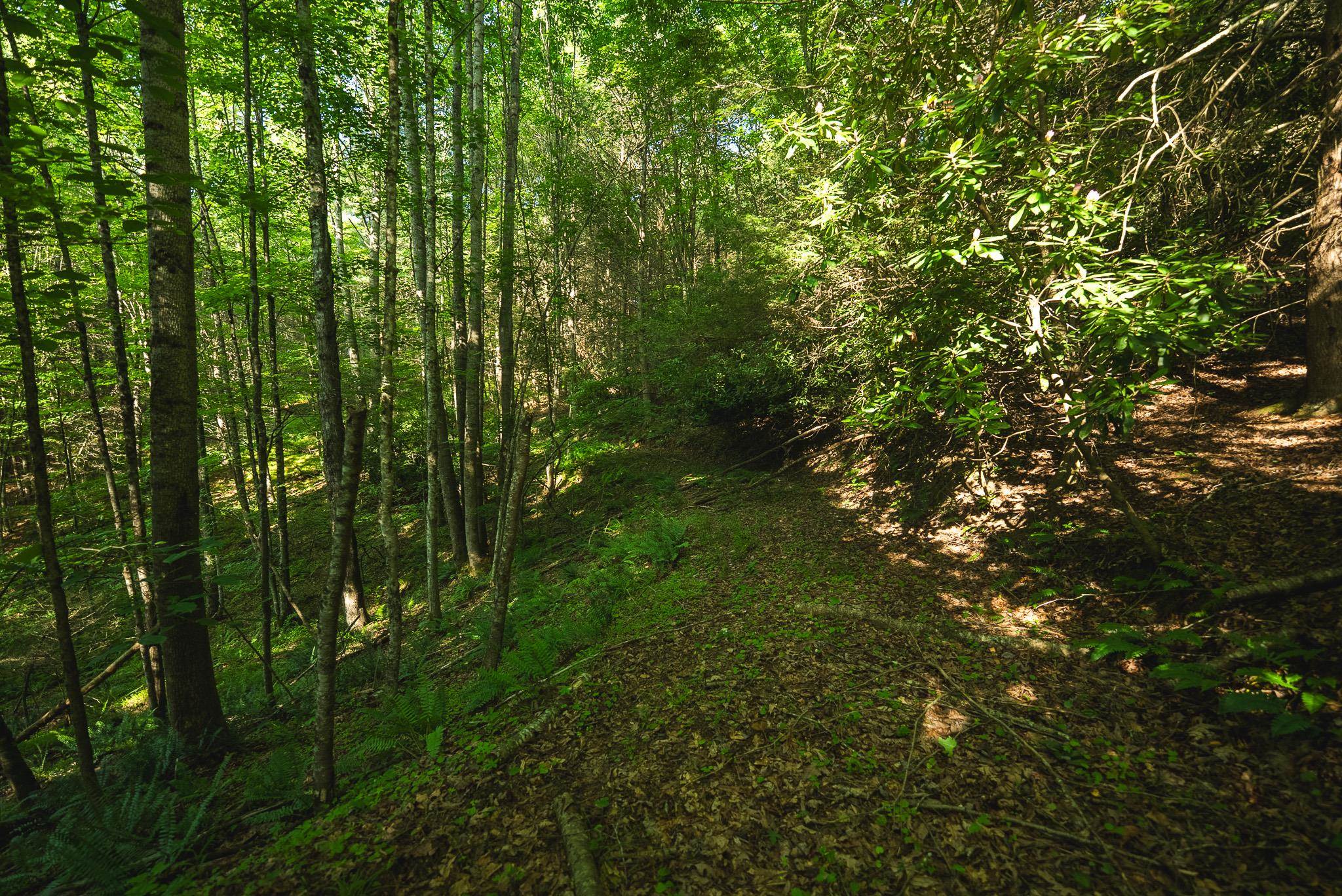 Tbd Sawmill Hill Road Willis VA 24380