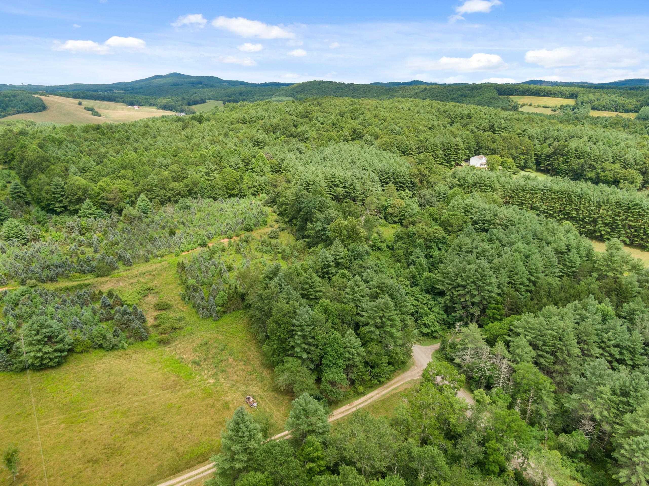 Tbd Rocky Hill Road Willis VA 24380
