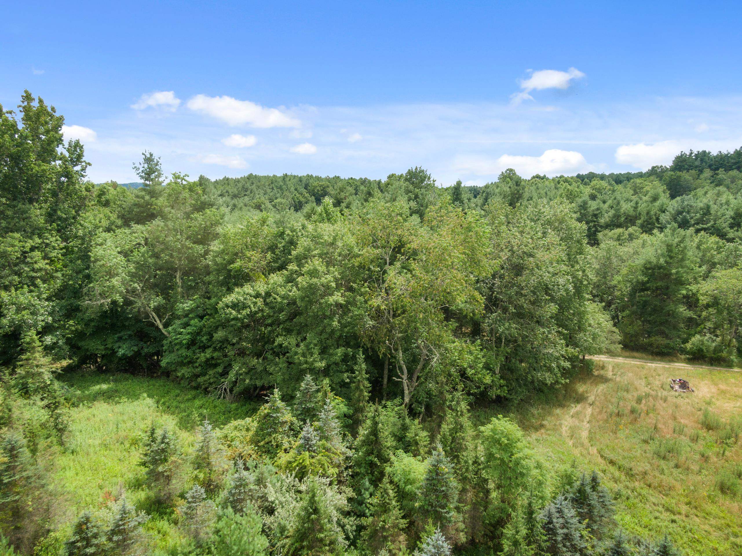 Tbd Rocky Hill Road Willis VA 24380
