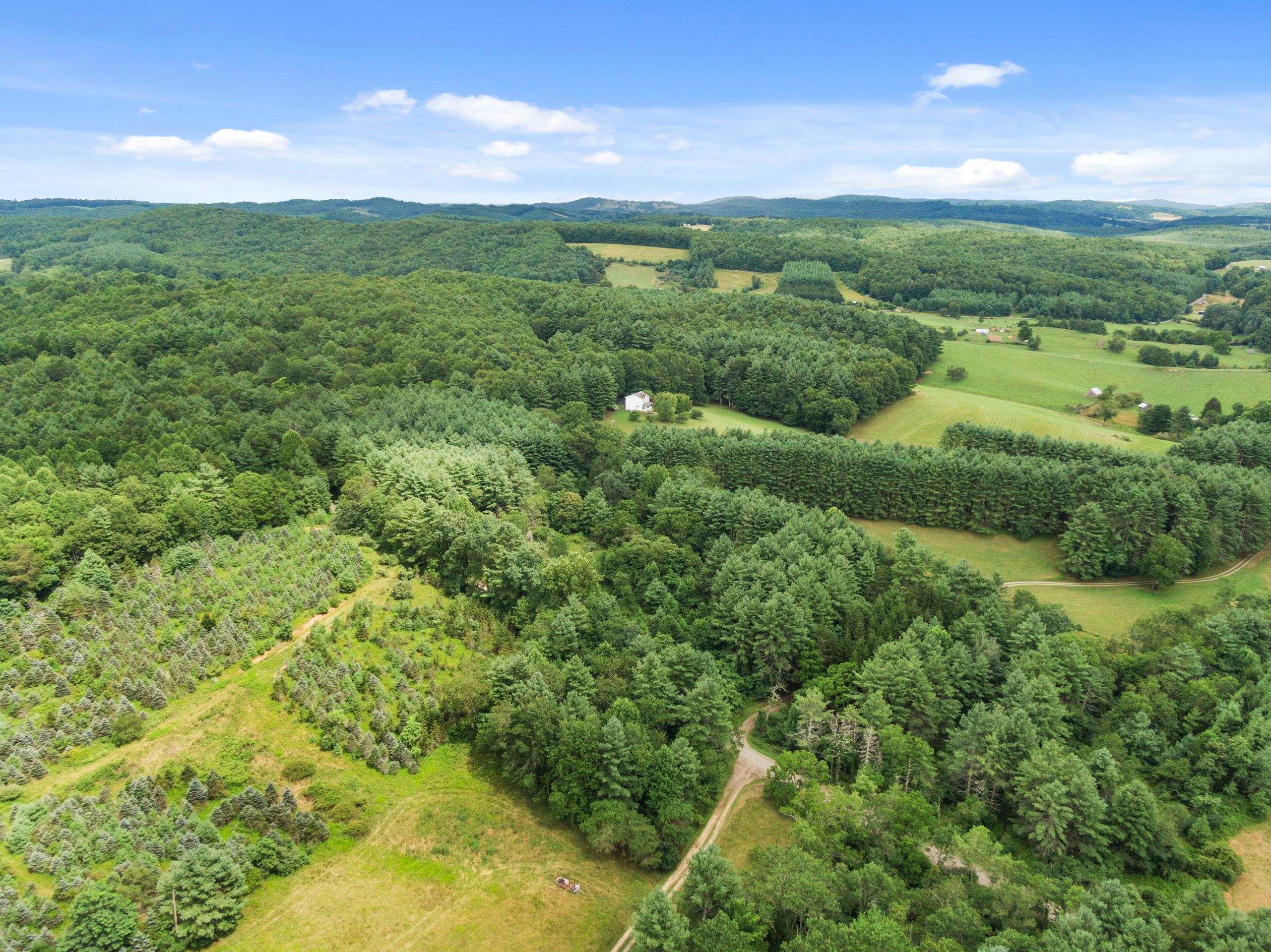 Tbd Rocky Hill Road Willis VA 24380