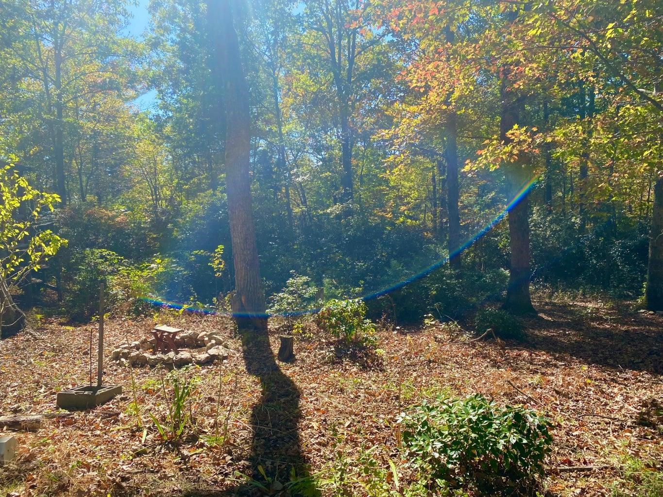 565 Slaughter Hill Road NW Indian Valley VA 24105