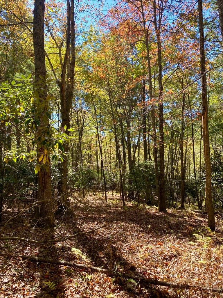 565 Slaughter Hill Road NW Indian Valley VA 24105