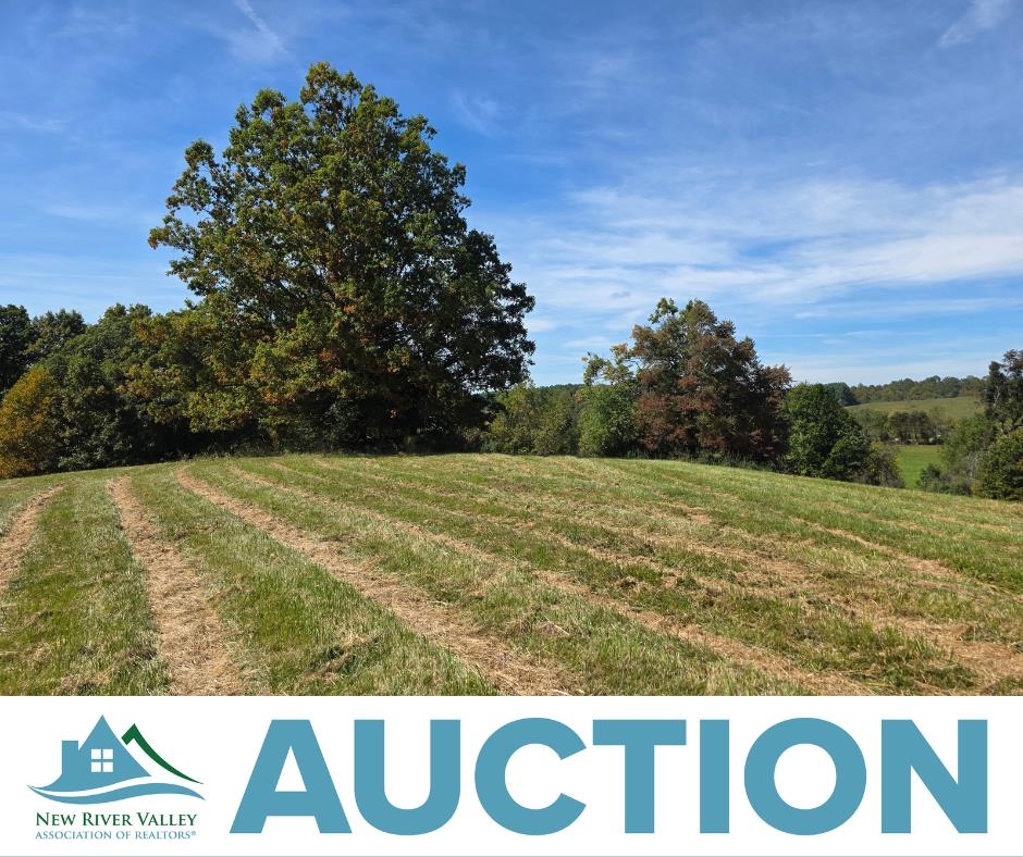 Tbd Ridge Road Check VA 24072