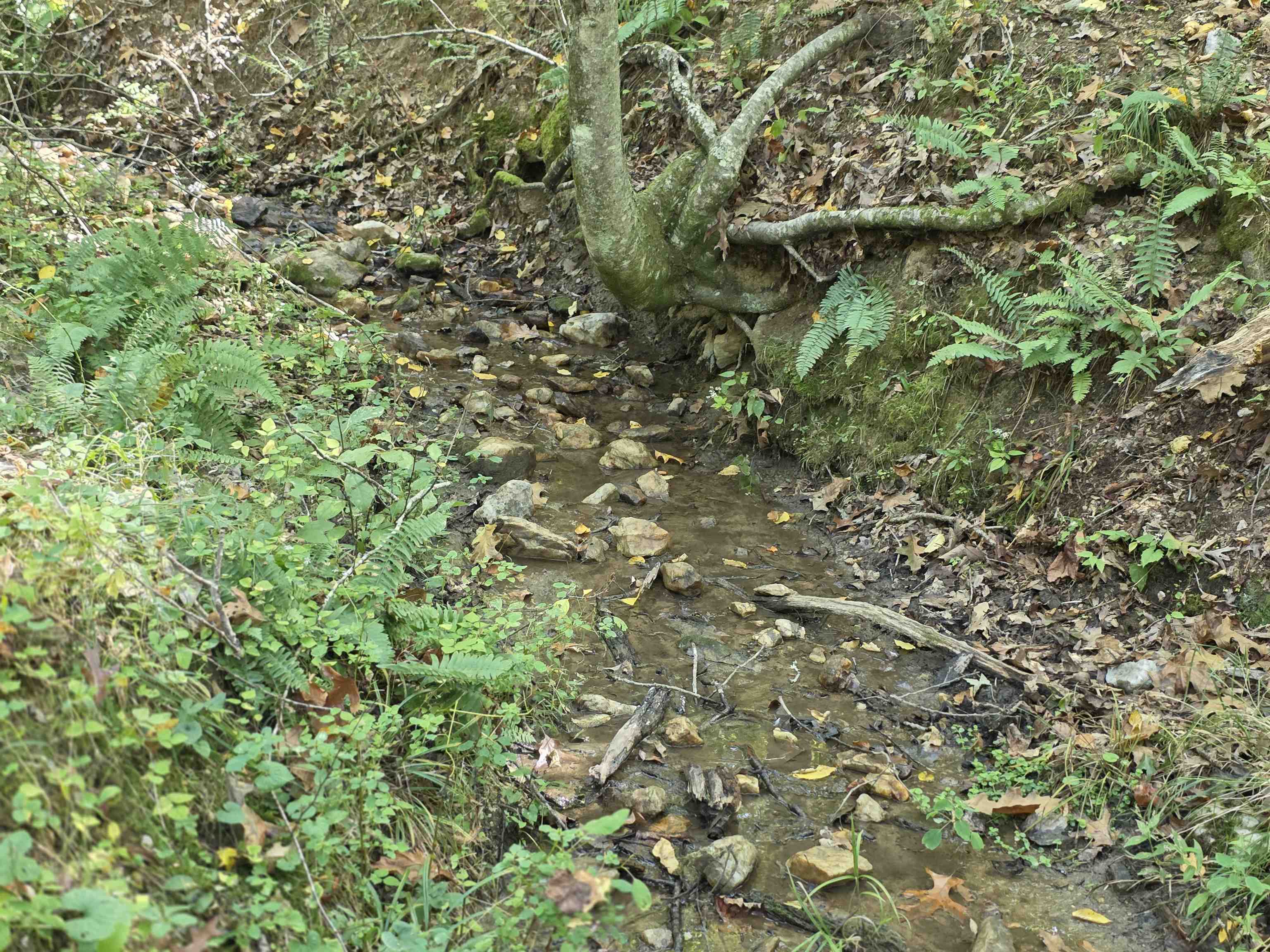 Tbd Ridge Road Check VA 24072